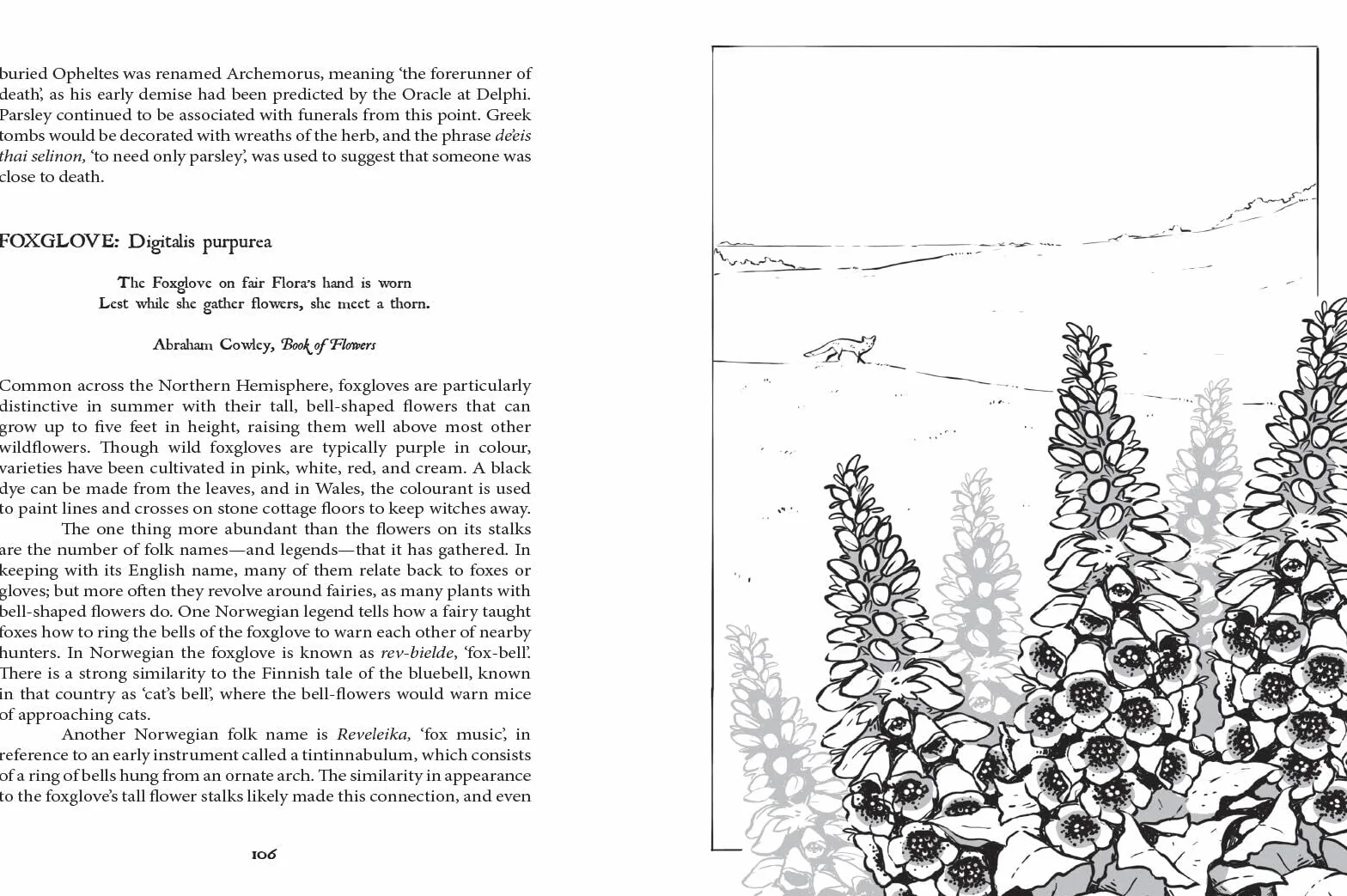 Botanical Curses and Poisons: The Shadow-Lives of Plants