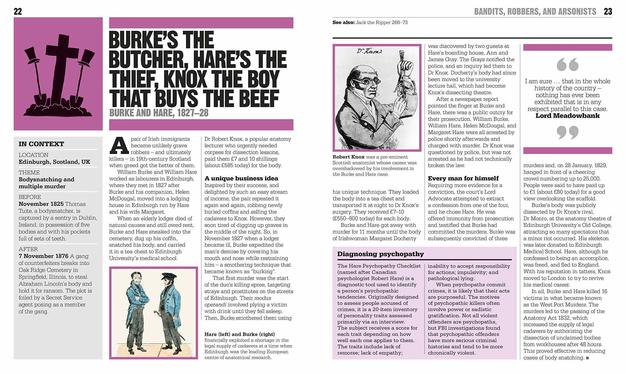 The Crime Book: Big Ideas Simply Explained