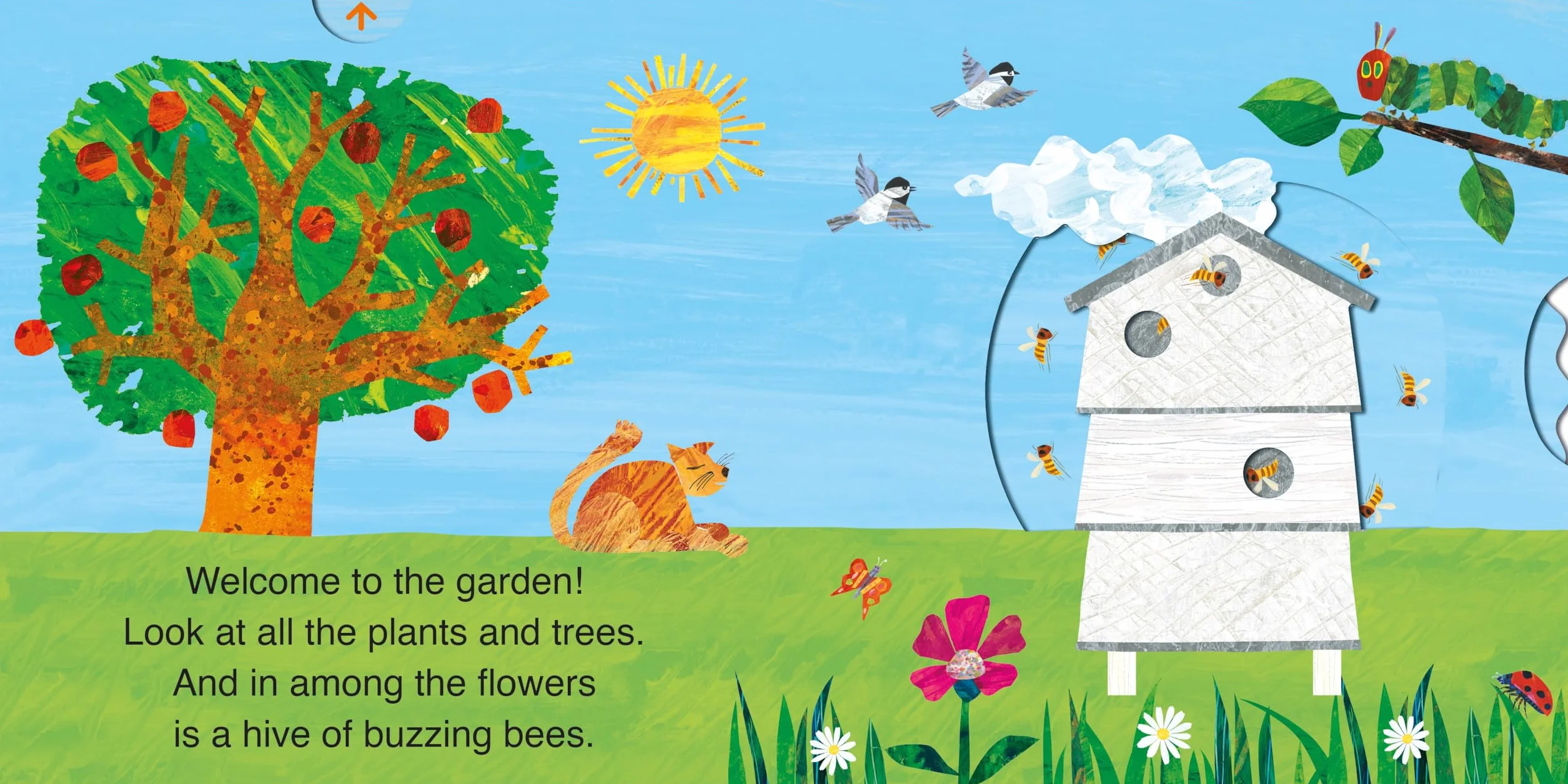 The Very Hungry Caterpillar’s Garden: A push-and-pull adventure