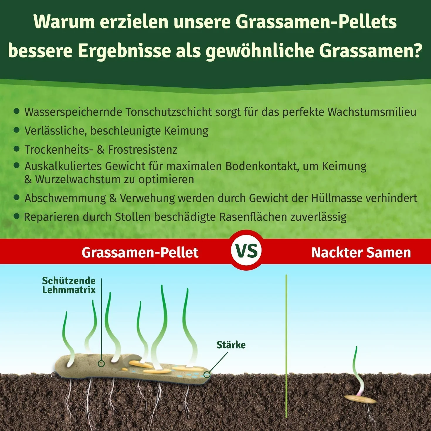 Veddelholzer Granulki trawnikowe ogrodowe odporne na suszę – nasiona trawnika, odporne na suszę, wytrzymałe i wytrzymałe – nasiona trawy do wysiewu i dosiewu – nasiona nadają się do trawników w cieniu