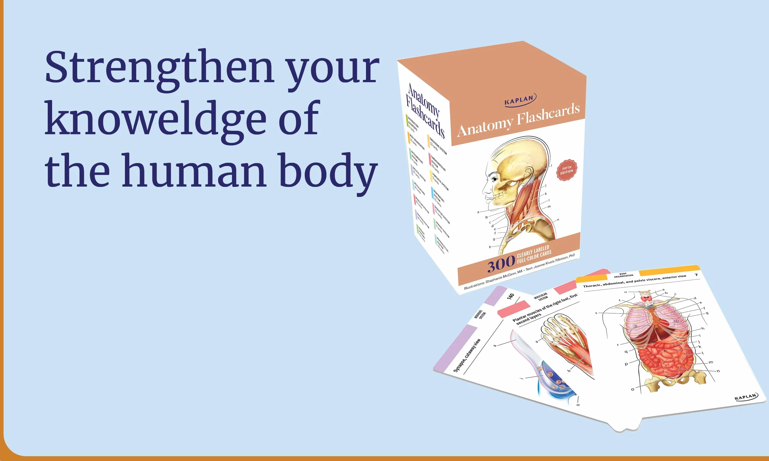 Anatomy Flashcards: 300 Flashcards with Anatomically Precise Drawings and Exhaustive Descriptions