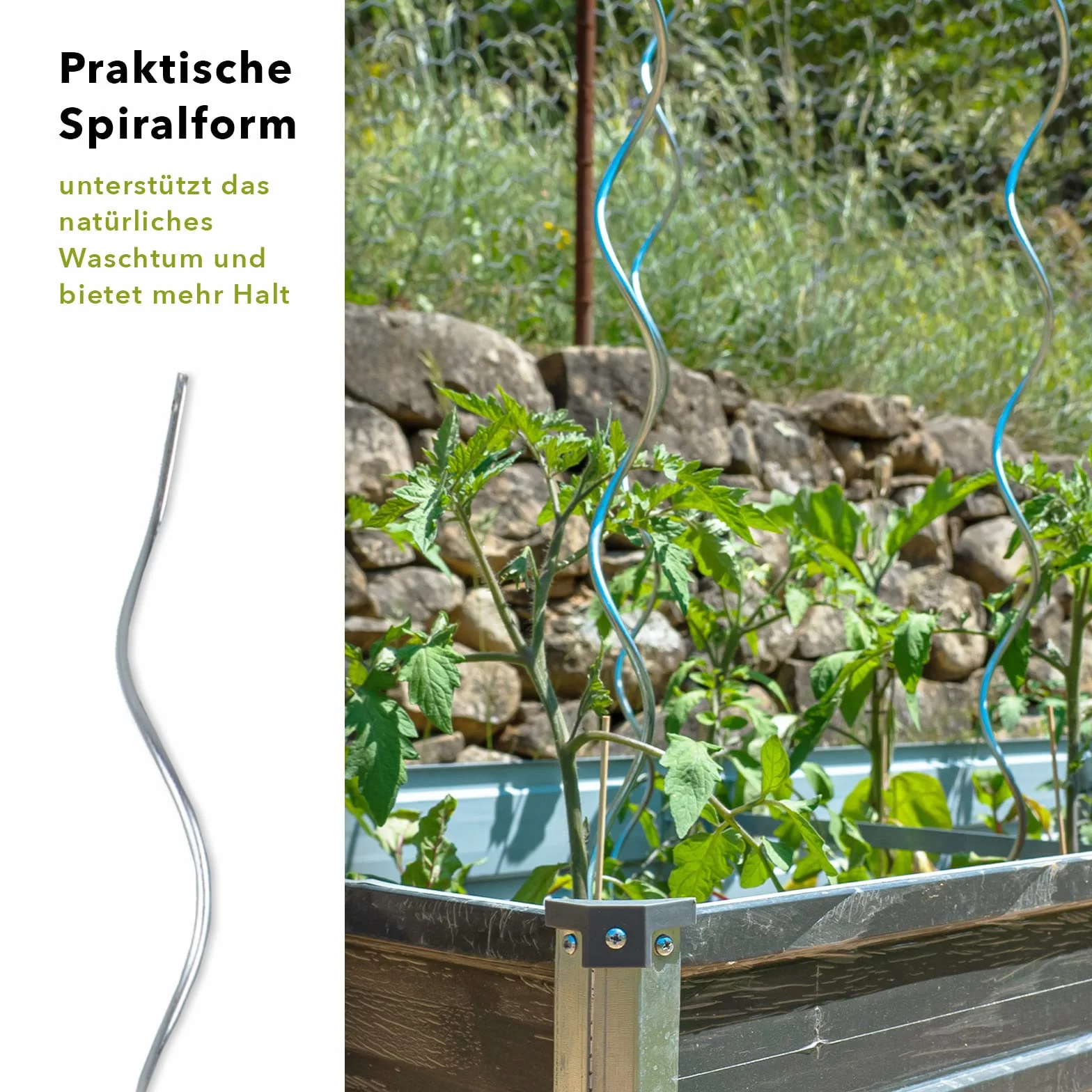 Floordirekt Pręty spiralne do pomidorów wraz z zestawem akcesoriów – długość 180 cm – 10 sztuk – drążek do pomidorów – pręt spiralny – stojak do roślin pnących – stojak do roślin pnących – pręt do