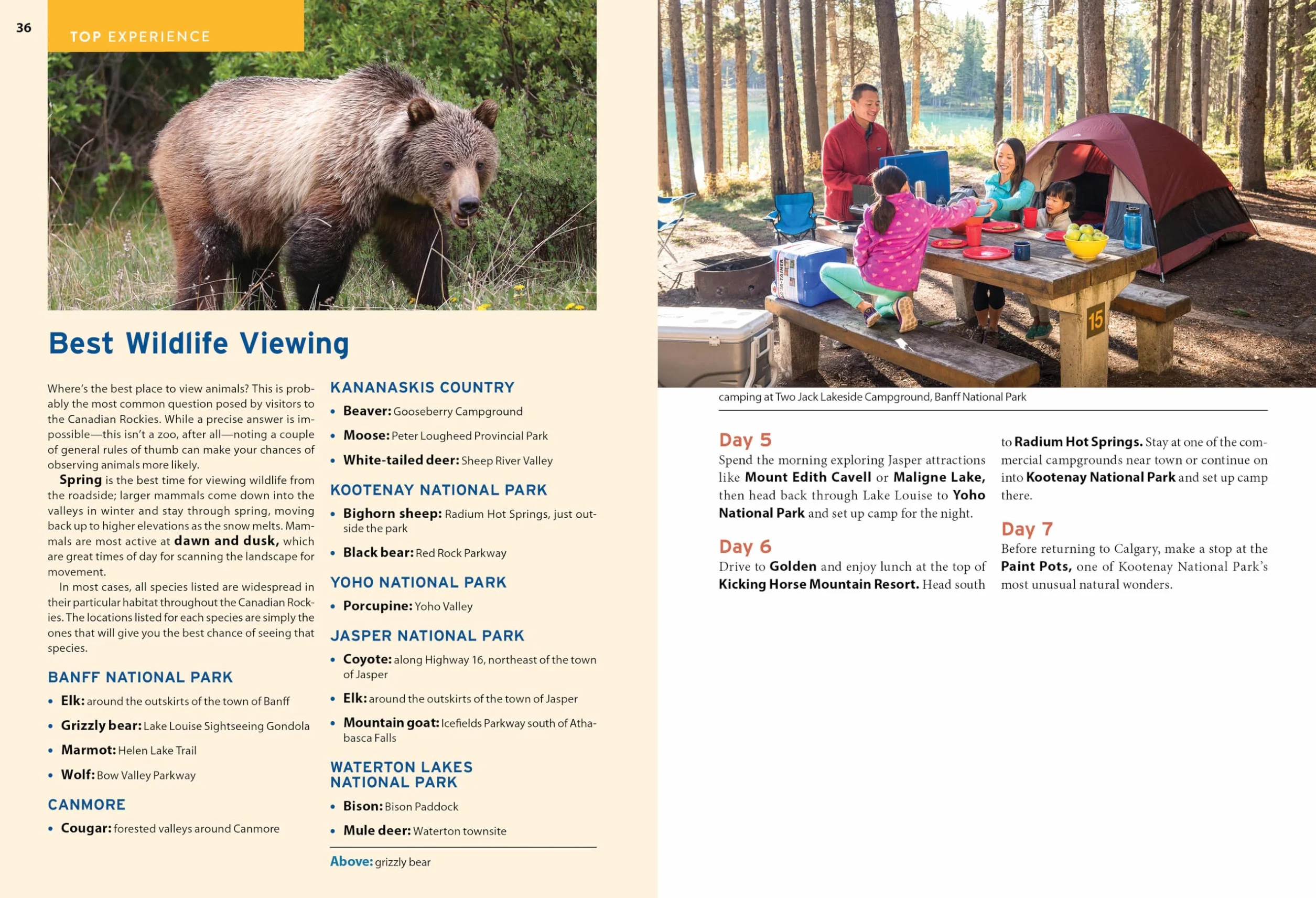 Moon Canadian Rockies: With Banff & Jasper National Parks: Scenic Drives, Wildlife, Hiking & Skiing