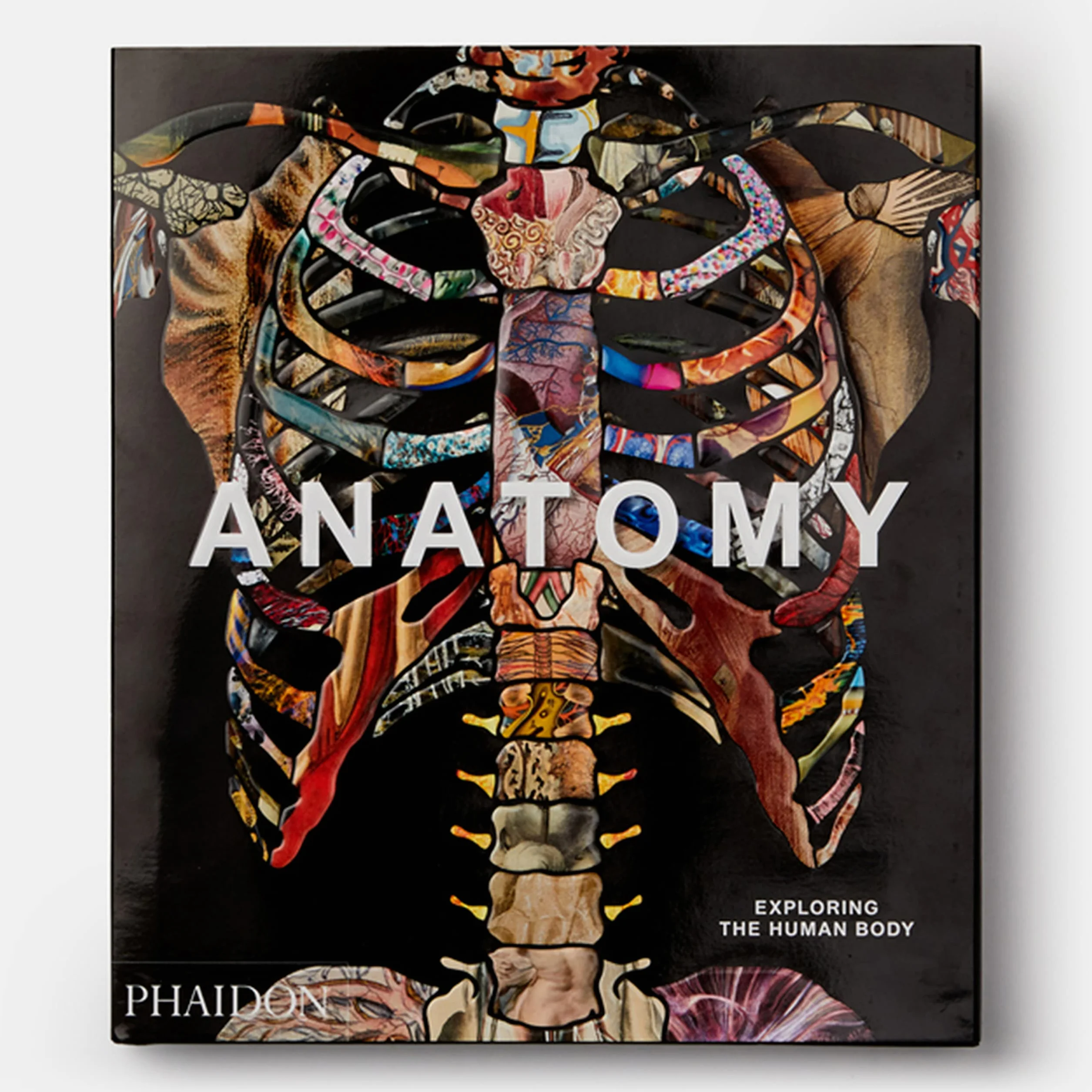 Anatomy: Exploring the Human Body