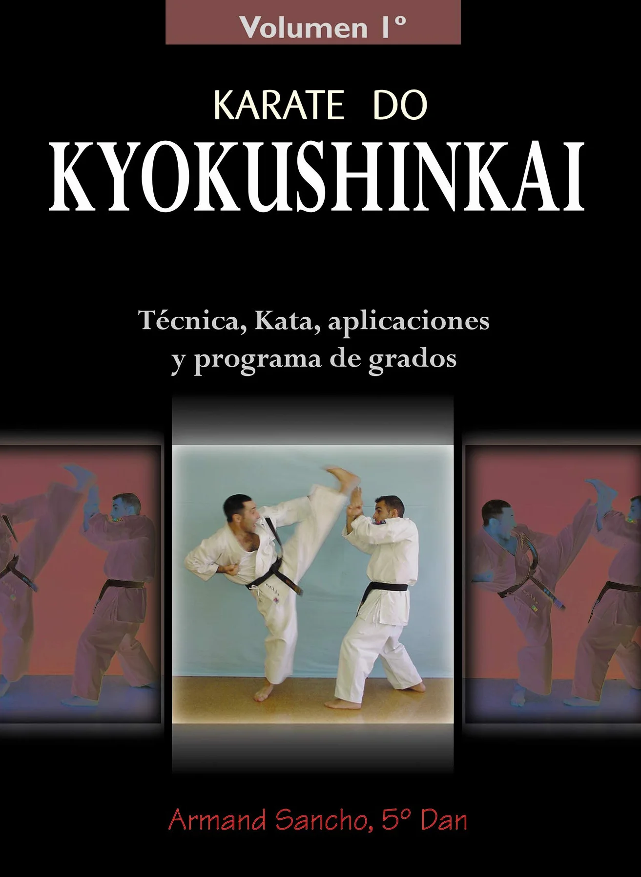 Karate do Kyokushinkai (Volumen 1º): Tecnica, kata, aplicaciones y programa de grados