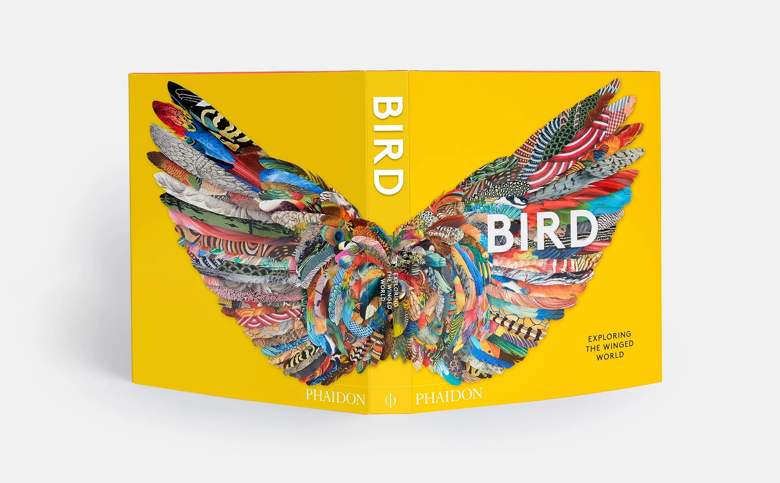 Bird: Exploring the winged world