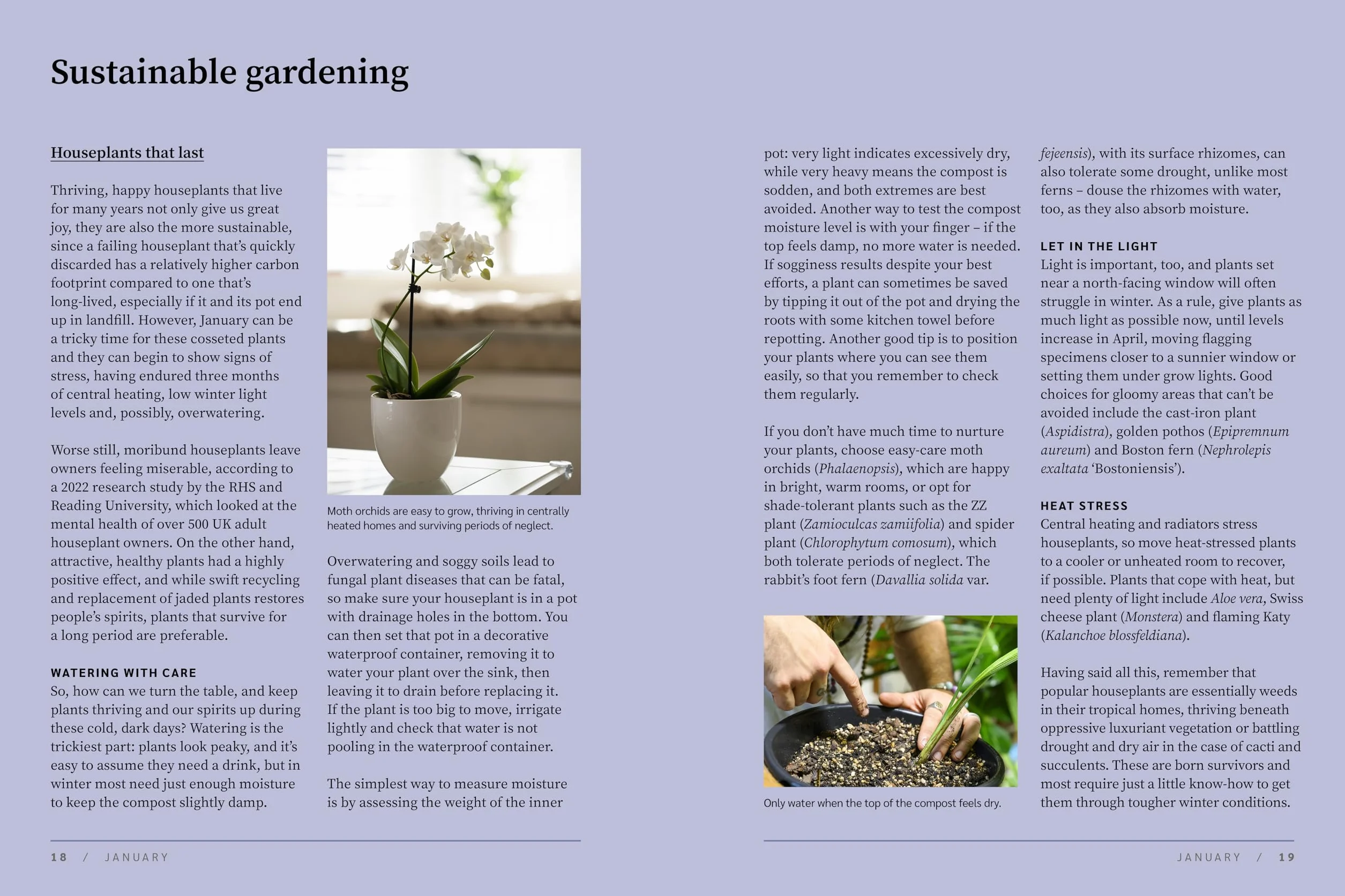 Rhs the Garden Almanac 2026: The Month-By-Month Guide to Your Best Ever Gardening Year