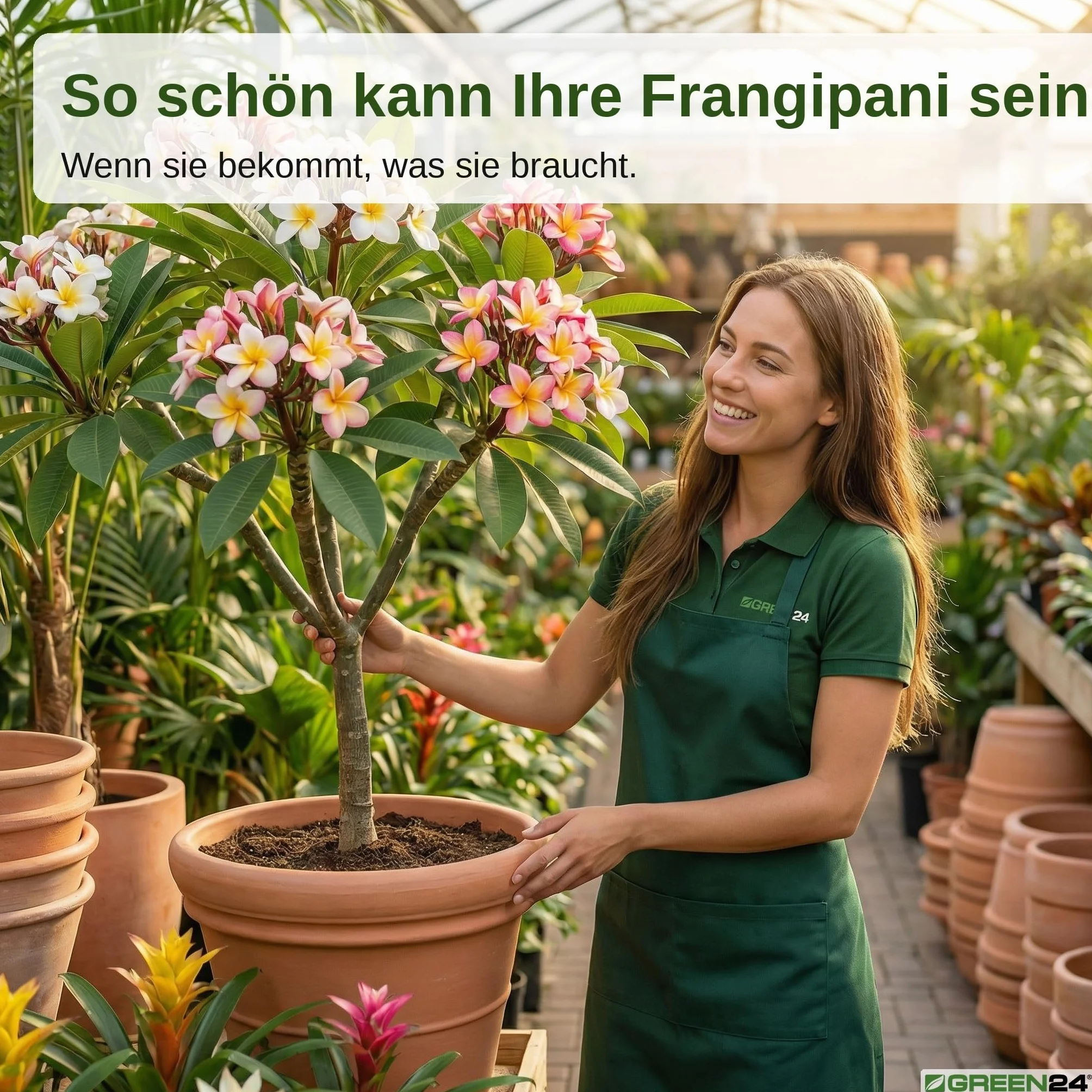 GREEN24 Frangipani-Dünger Hightech Płynny Fertilizer do Plumerie Frangipane