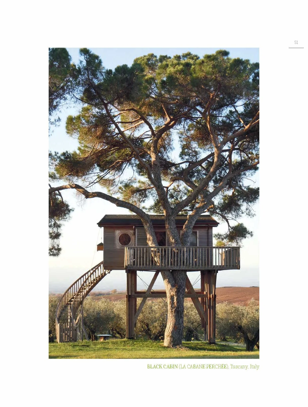 Tree Houses: Escape to the Canopy