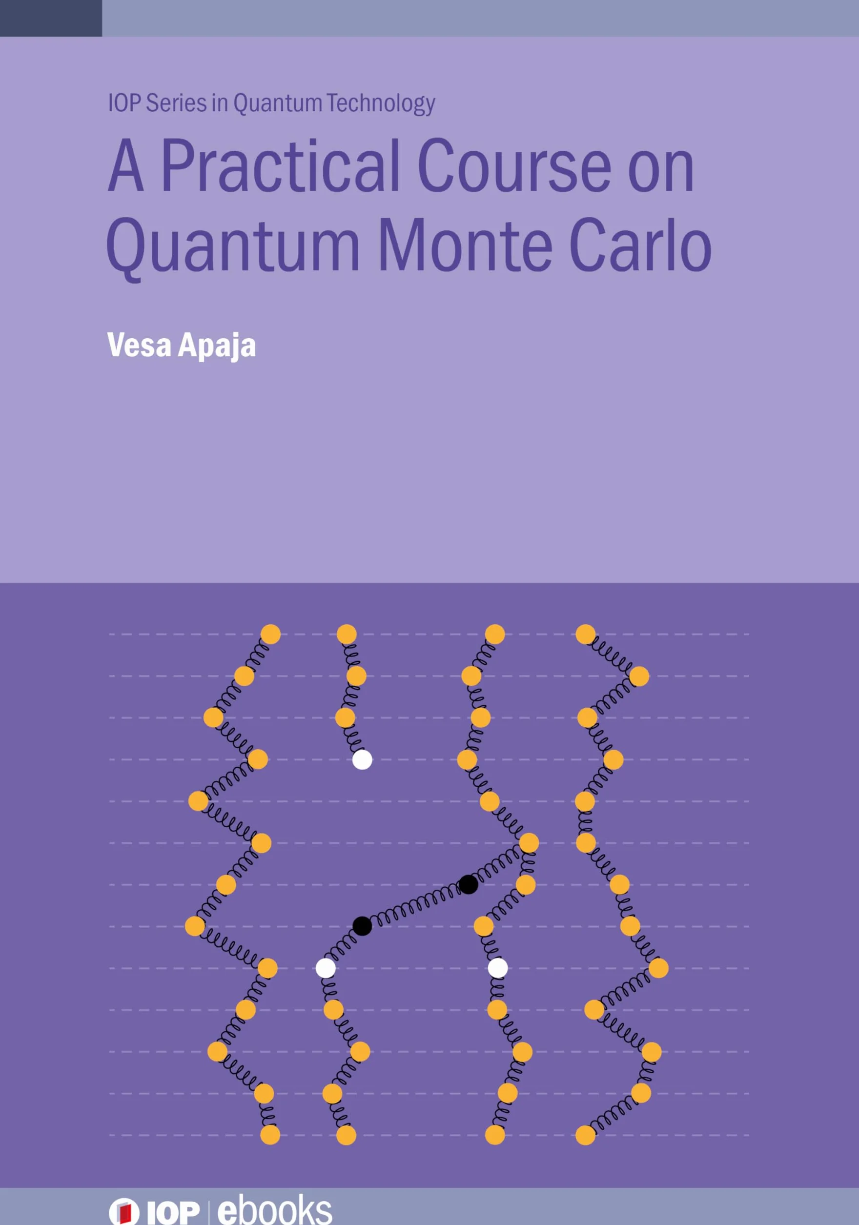 Practical Course on Quantum Monte Carlo