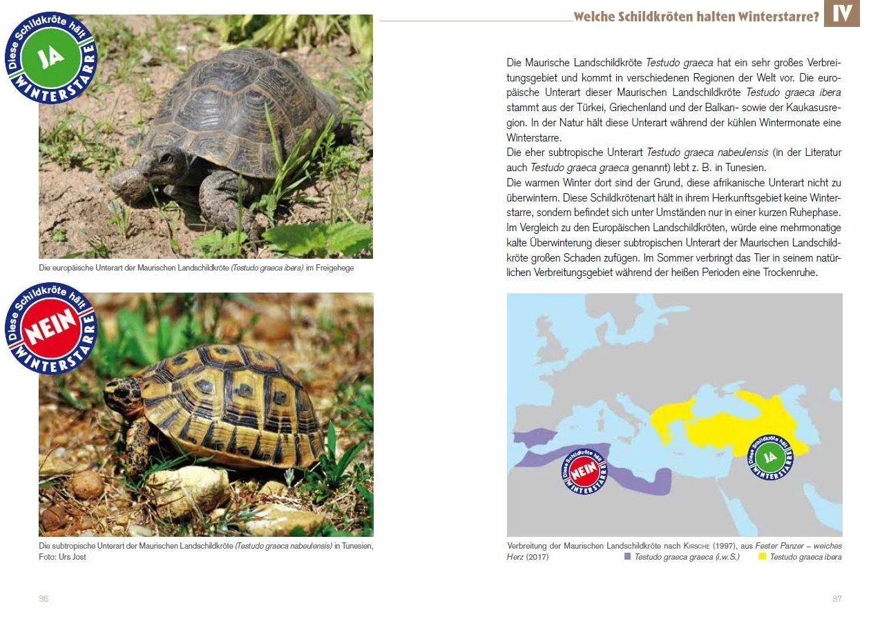 Winterstarre bei Europäischen Landschildkröten: Naturnahe Vorbereitung und erfolgreiche Überwinterung. Ratgeber zur Haltung Europäischer Landschildkröten, Band 1 (2. Auflage)