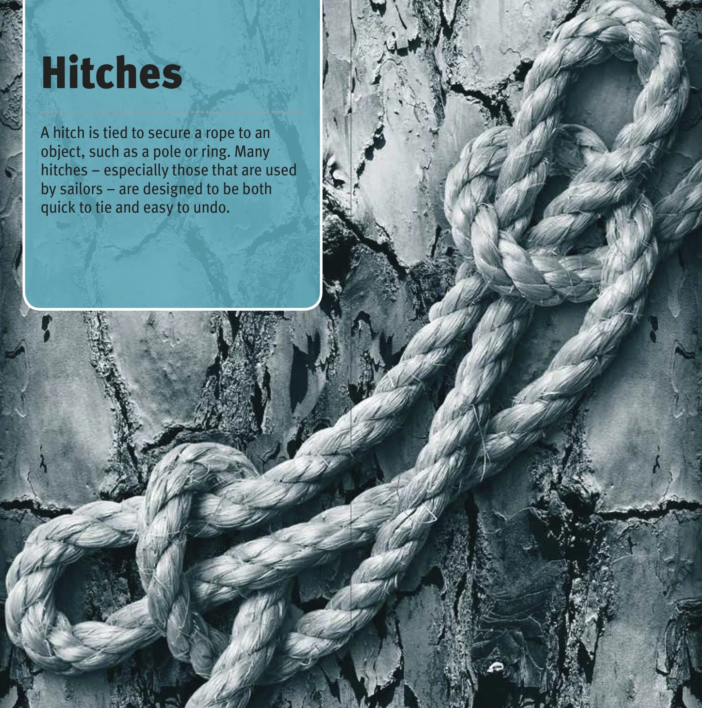 Knots Step by Step: A Practical Guide to Tying & Using Over 100 Knots