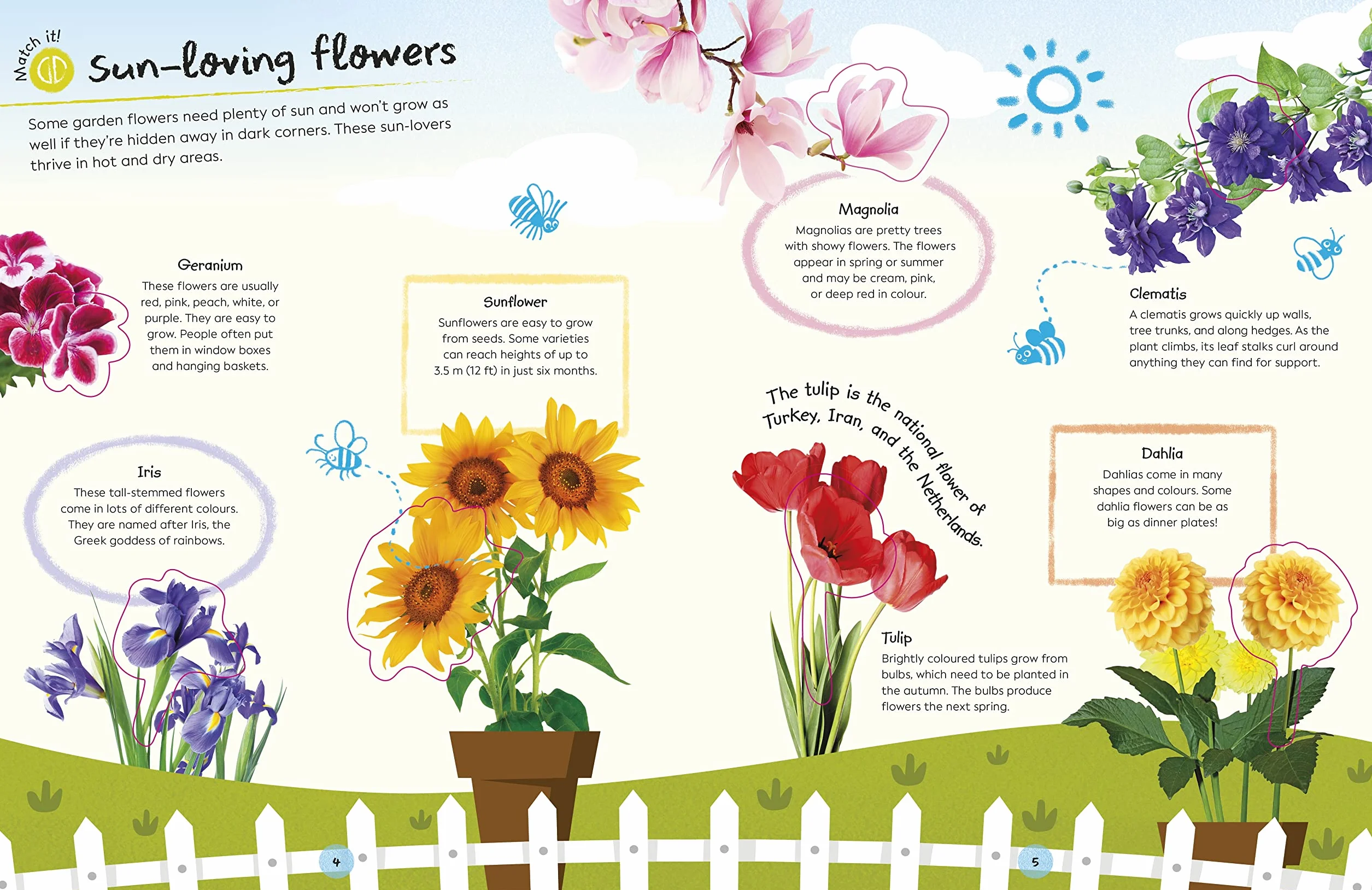 RHS Ultimate Sticker Book Garden Flowers: New Edition with More than 250 Stickers