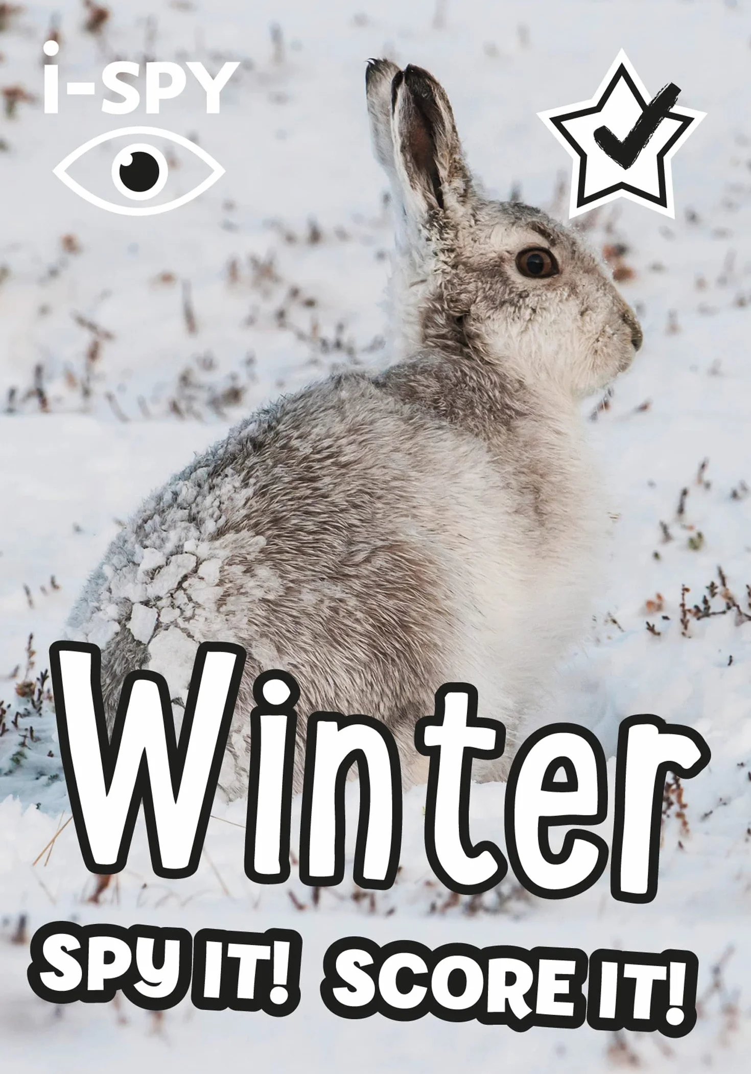 i-SPY Winter: Spy it! Score it!