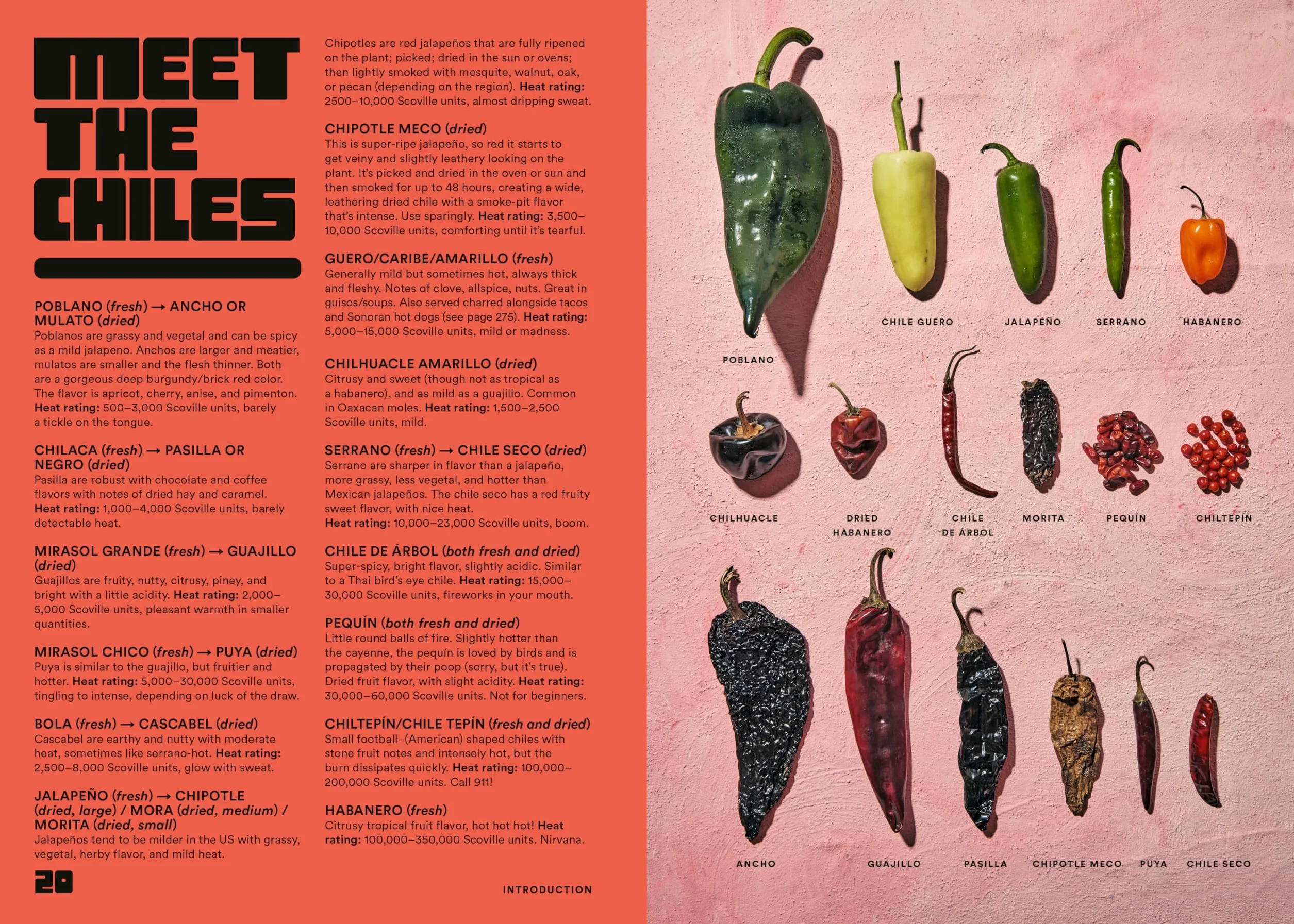 Salsa Daddy: A Cookbook: Dip Your Way Into Mexican Cooking