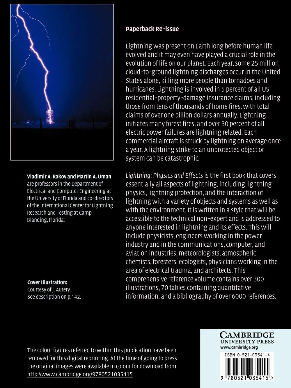 Lightning: Physics and Effects