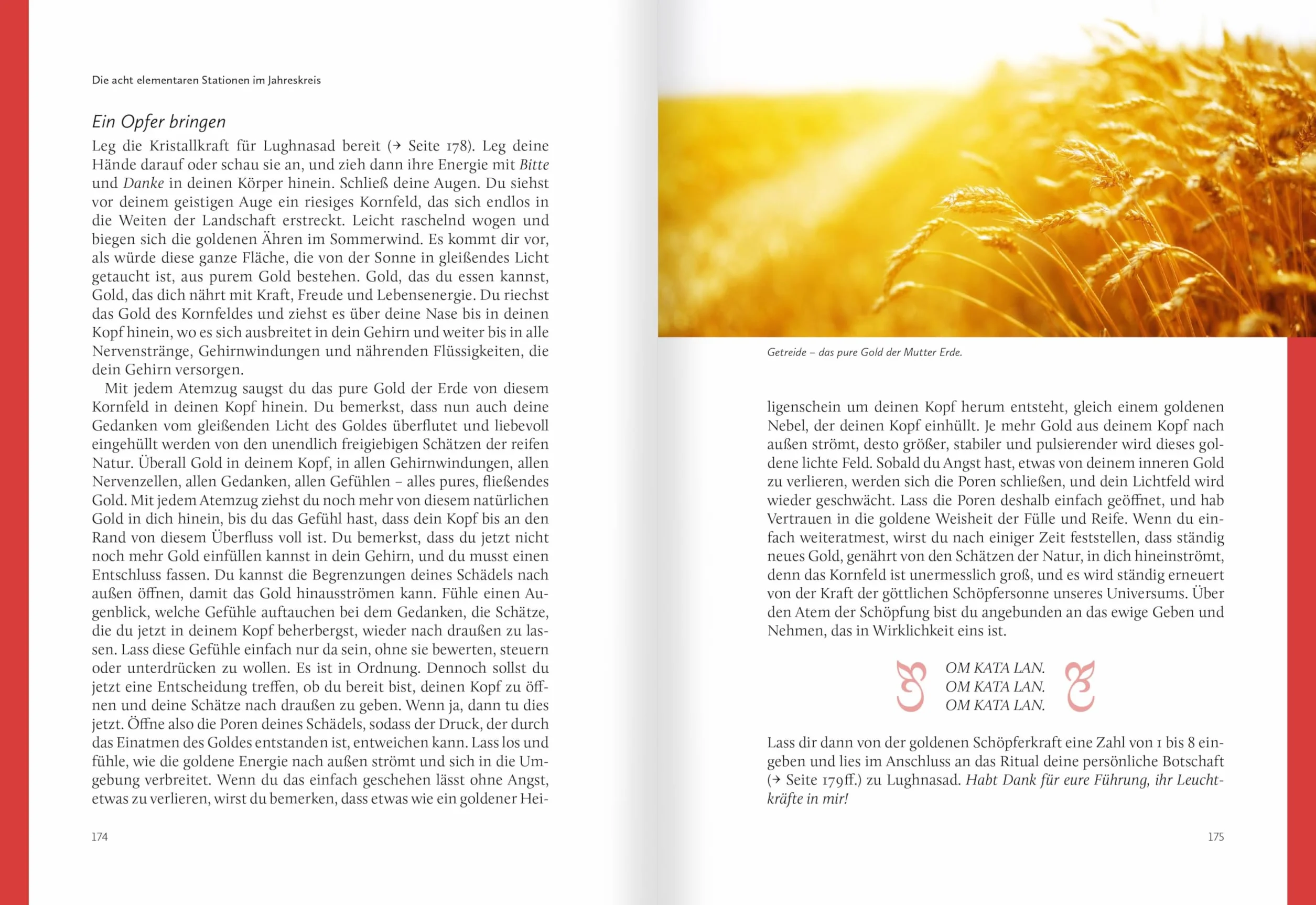 Rituale im Jahreskreis. Harmonisierung und Selbstheilung im Rhythmus der Natur: Mit kraftvollen Symbolen und Seelenmeditationen