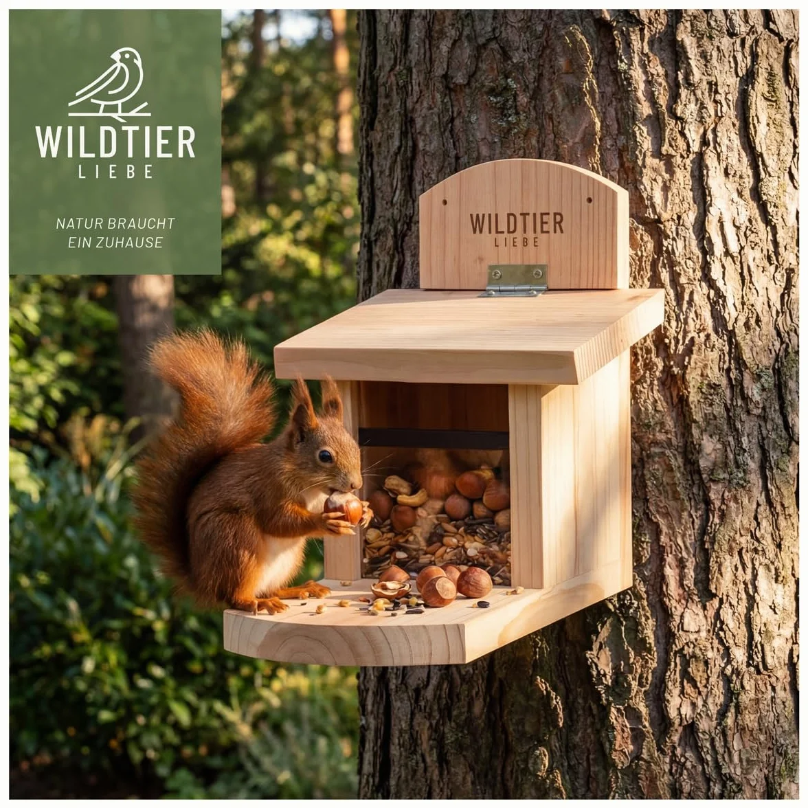 wildtier liebe Odpowiednia karma dla wiewiórek 1 kg dla wiewiórek i wiewiórek pasmowych I karma całoroczna wraz z ekstra deserem wiewiórki 50 g I karma wiewiórki, wiewiórki