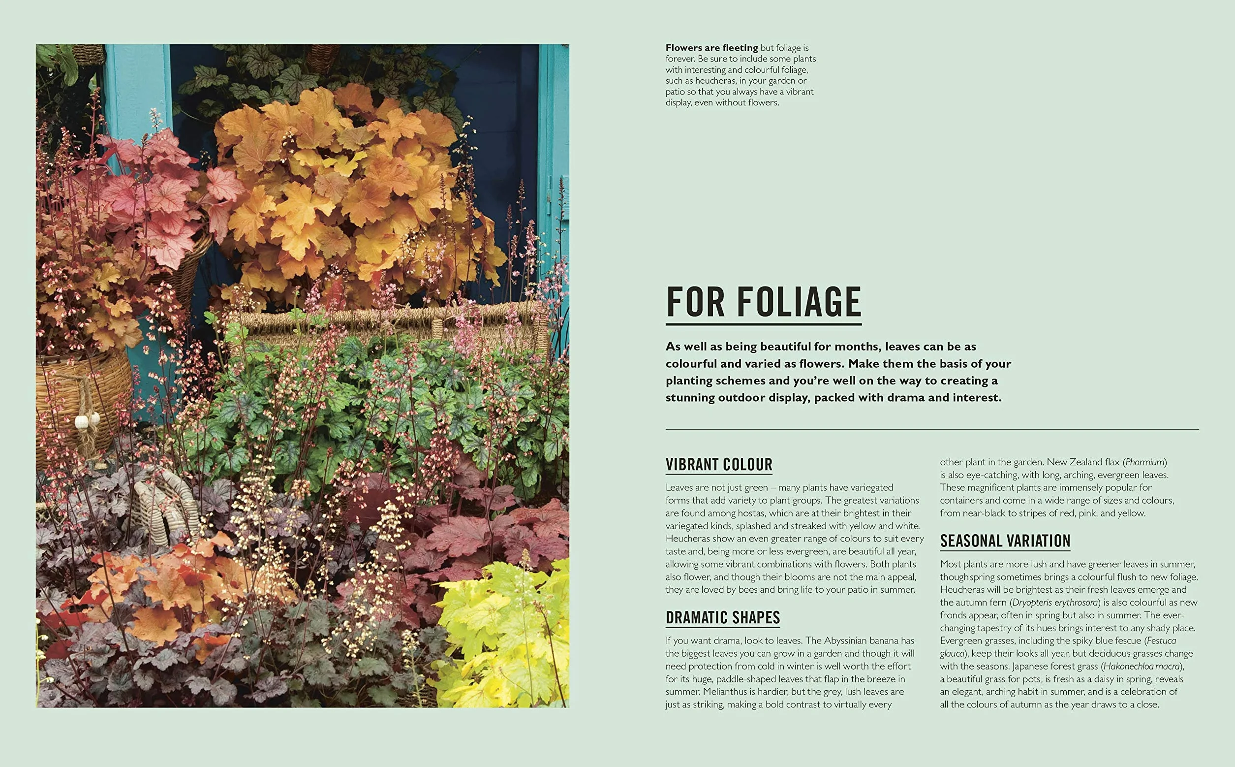 Grow Containers: Essential Know-how and Expert Advice for Gardening Success