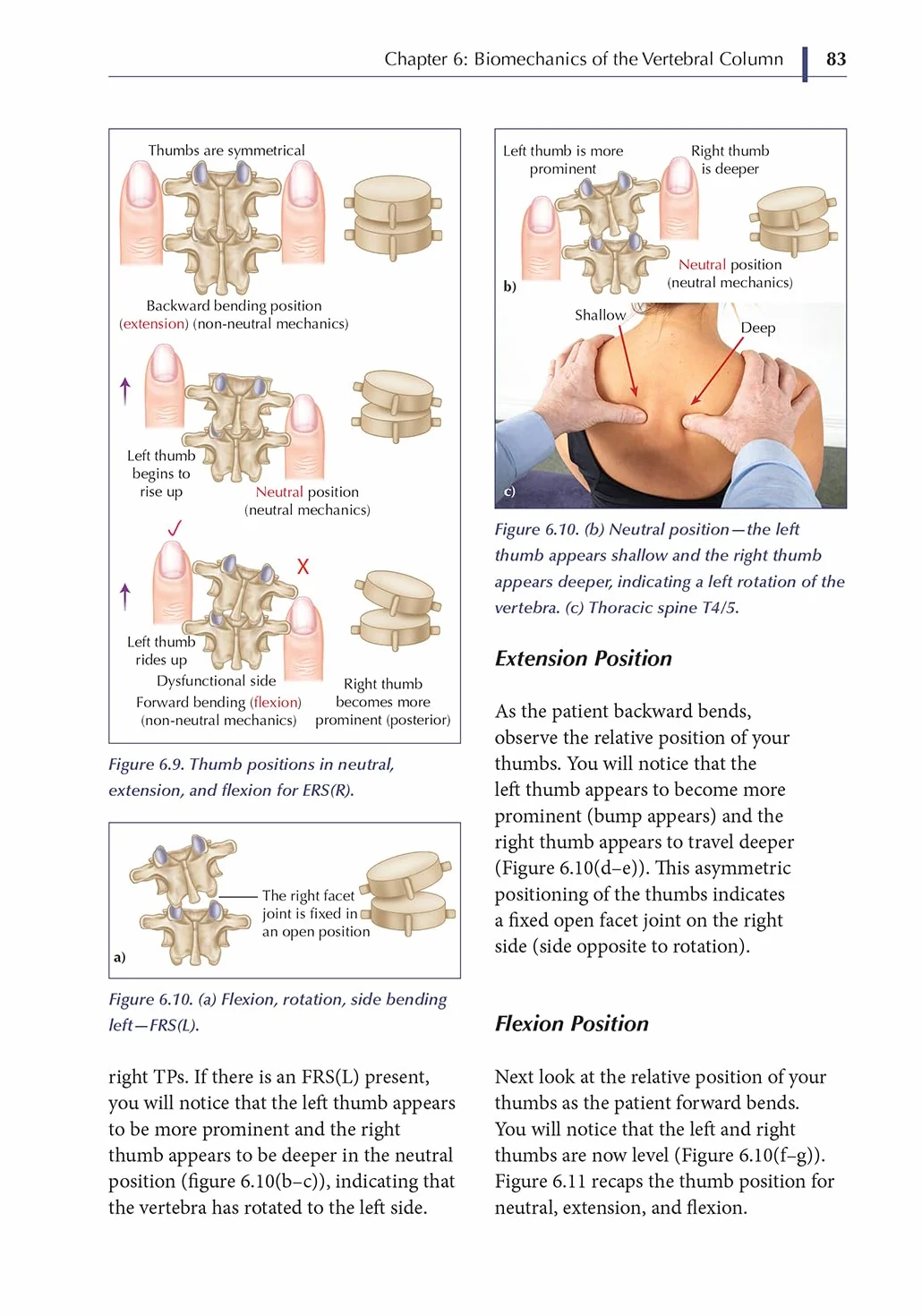 Spinal Manipulations and Mobilization Techniques: Theory and Practice