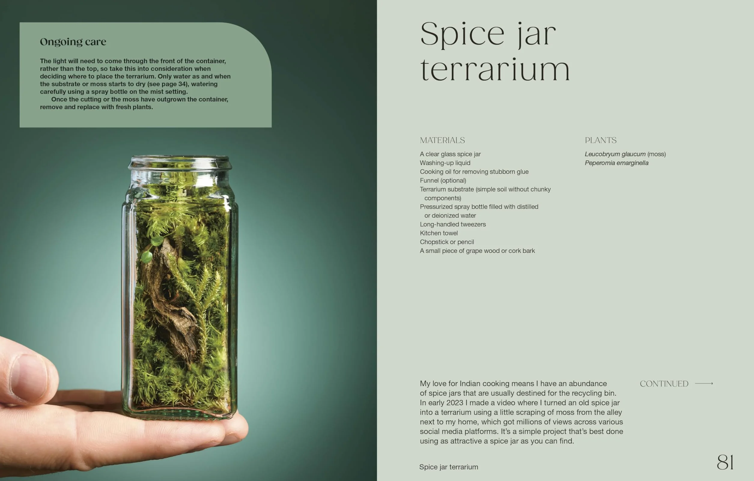 Hello Tiny World: An Enchanting Journey into the World of Creating Terrariums
