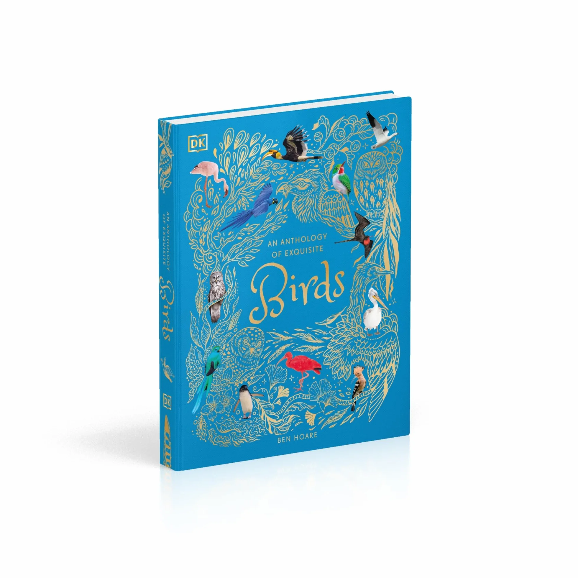 An Anthology of Exquisite Birds: Discover the Beauty of the Avian World