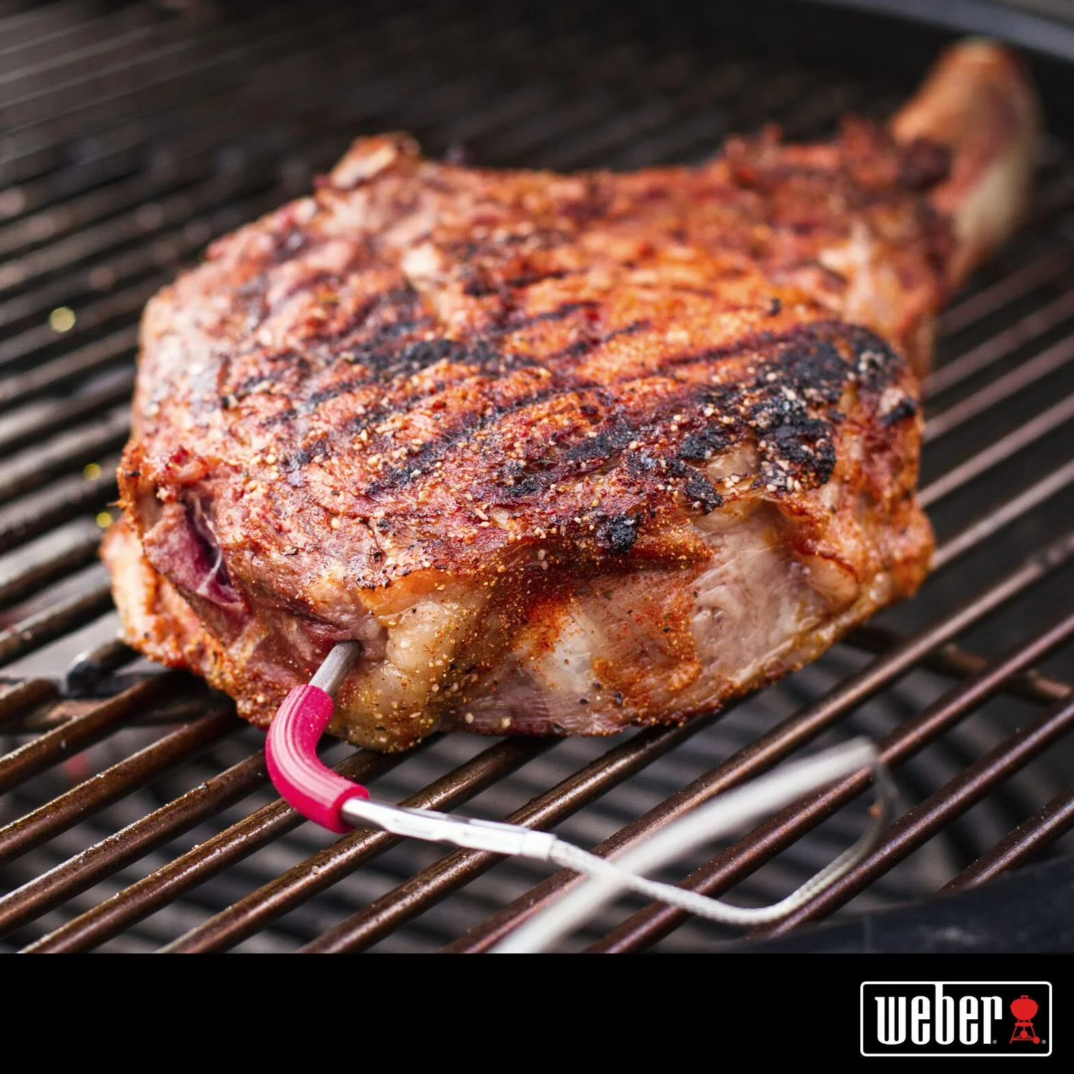 Weber iGrill / Connect Smart Grilling Hub Sonda do mięsa na grilla, do 300°C, do monitorowania temperatury mięsa lub ryby, 1 sztuka - Srebrny (7212)