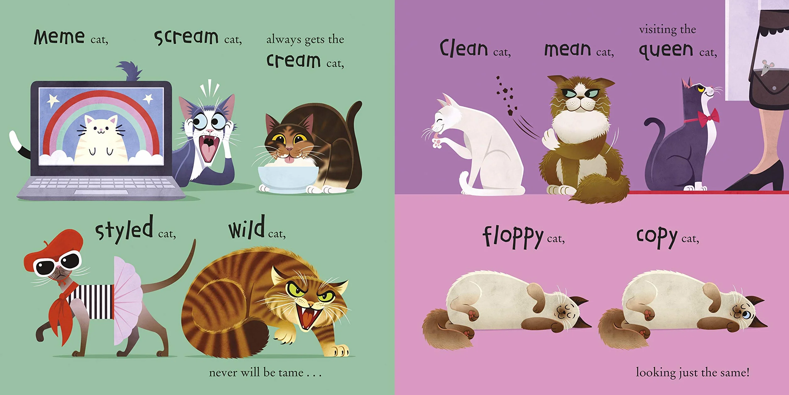 100 Cats