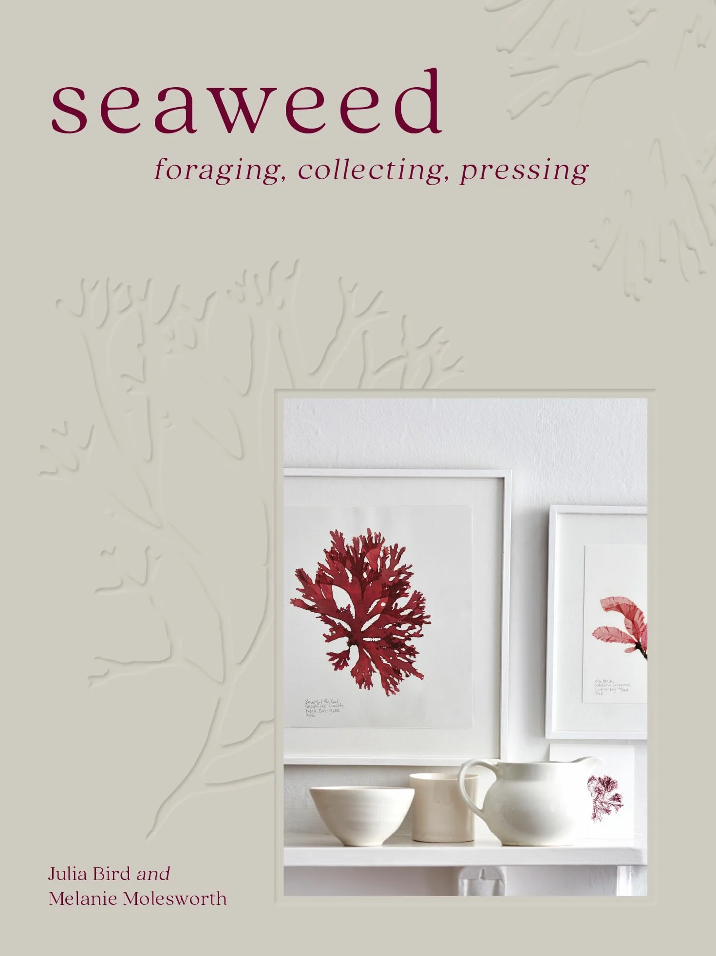 Seaweed: The sustainable guide to our oceans, with crafts, foraging, collecting and pressing