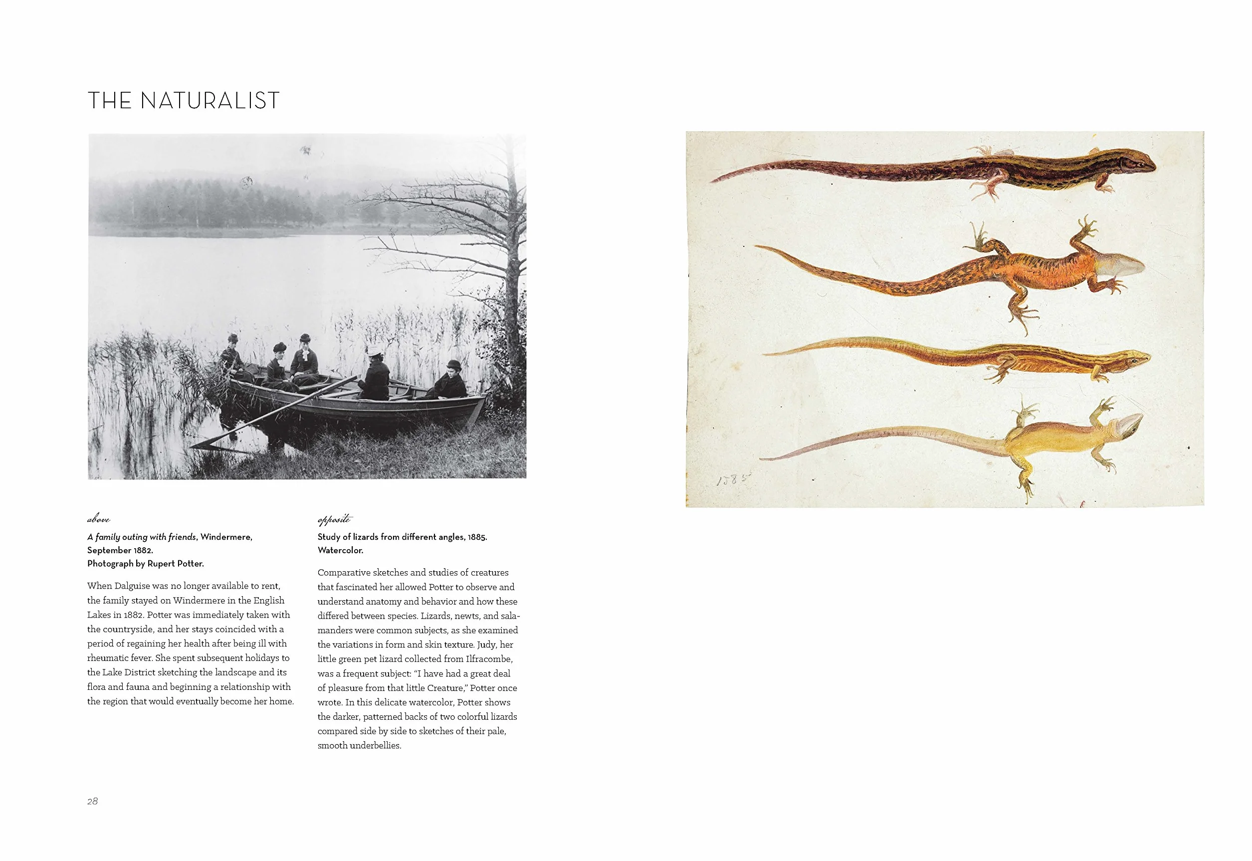 The Art of Beatrix Potter: Sketches, Paintings, and Illustrations