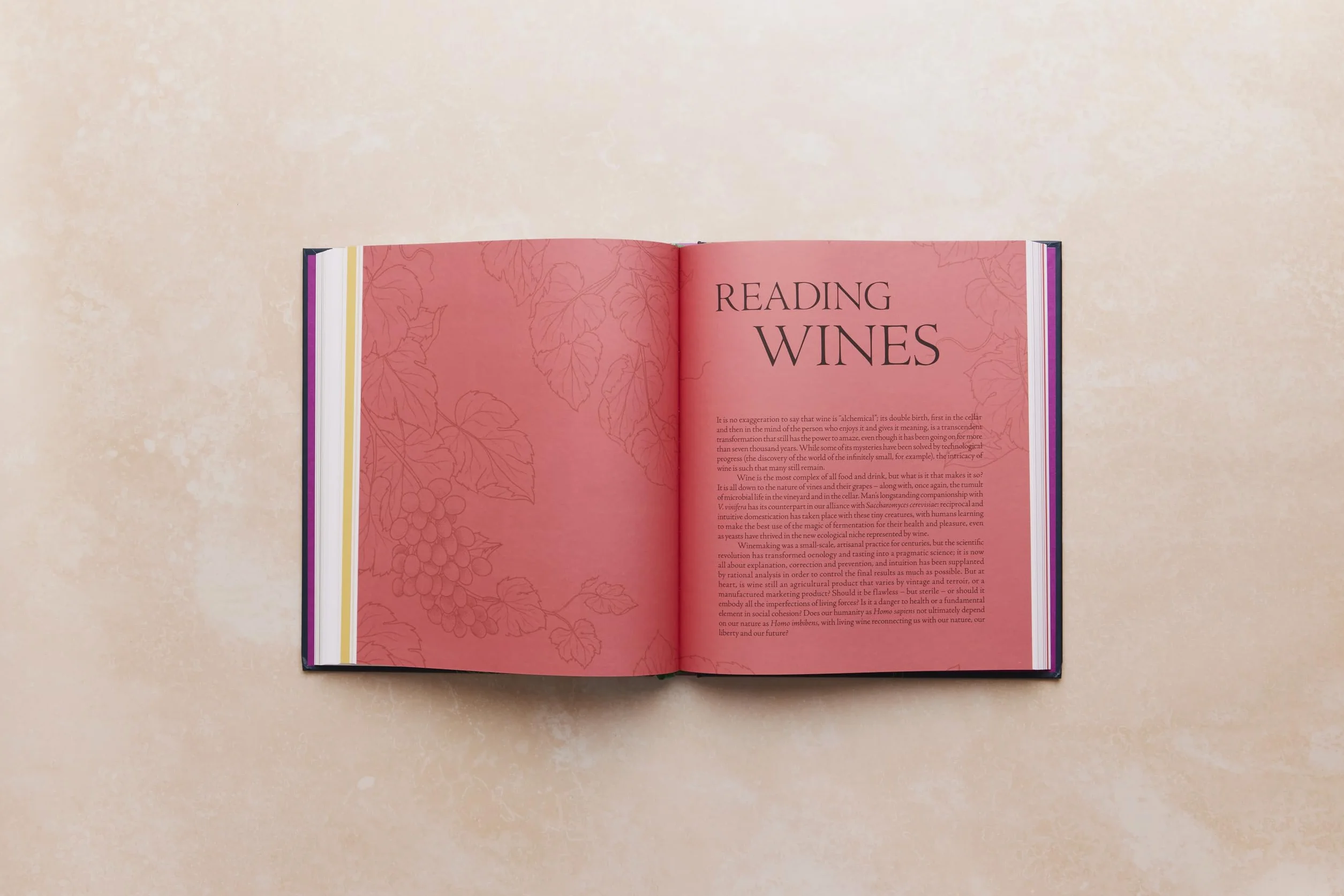 One Thousand Vines: A New Way to Understand Wine