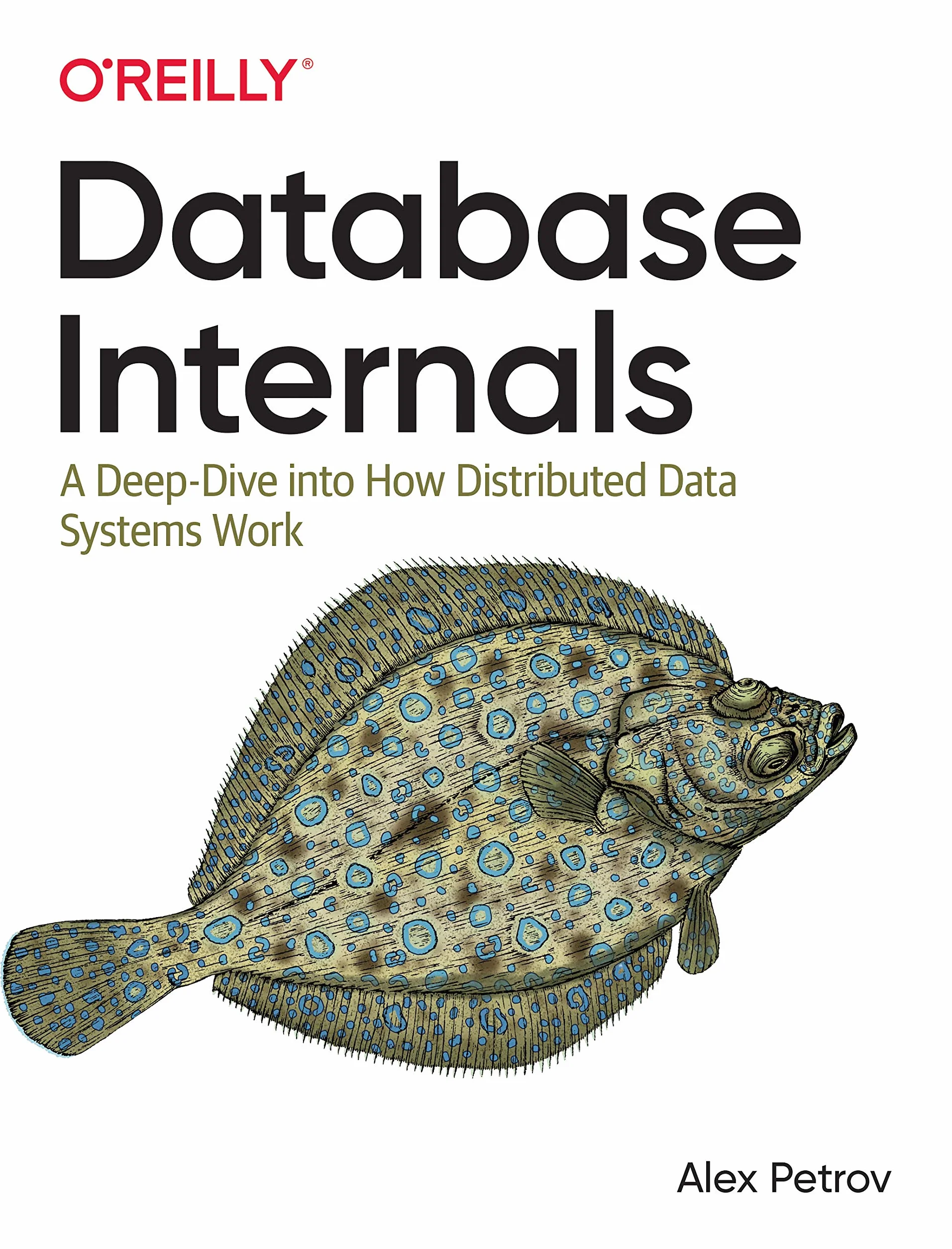 Database Internals: A Deep Dive Into How Distributed Data Systems Work