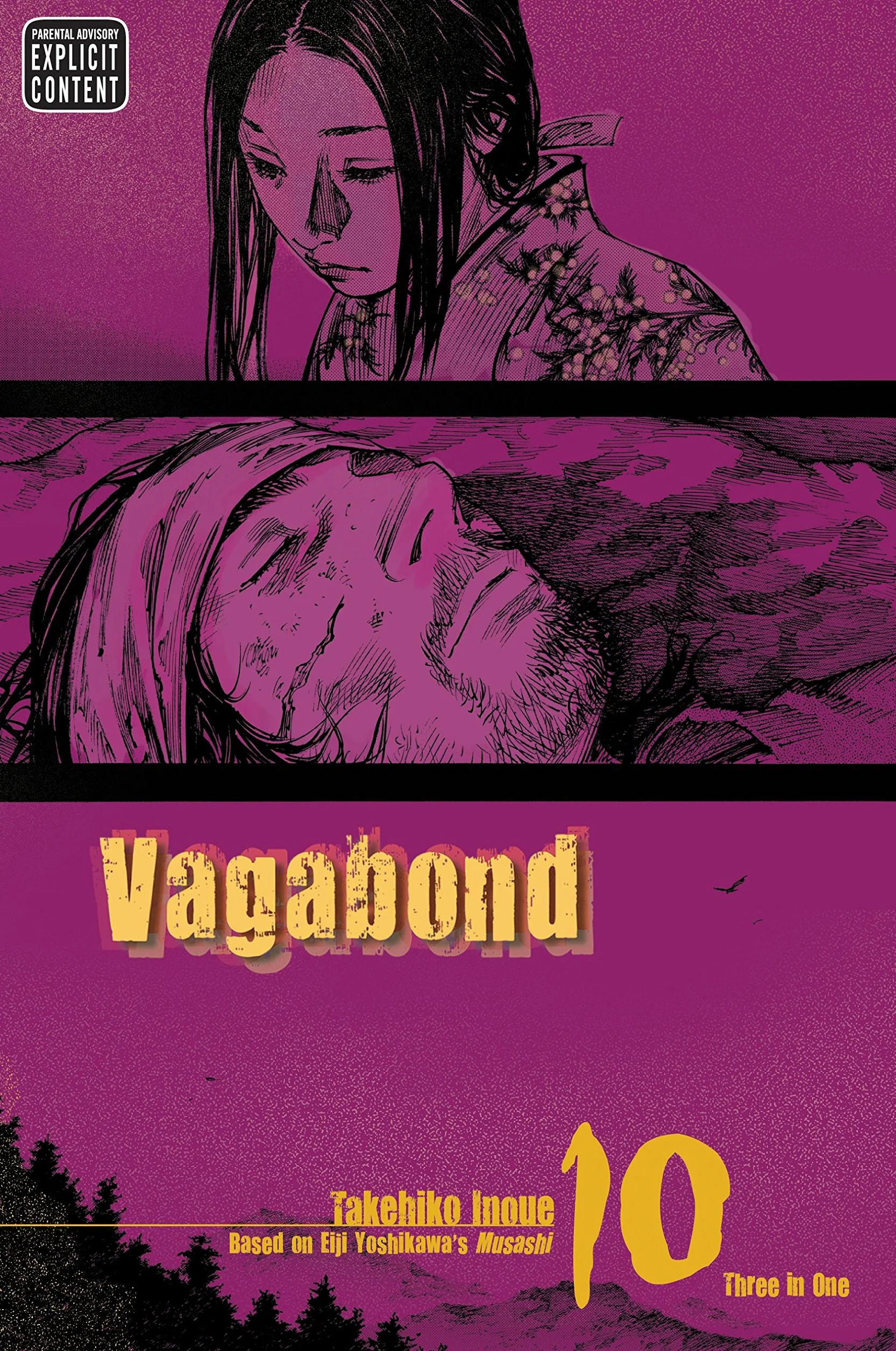 Vagabond (Vizbig Edition), Vol. 10