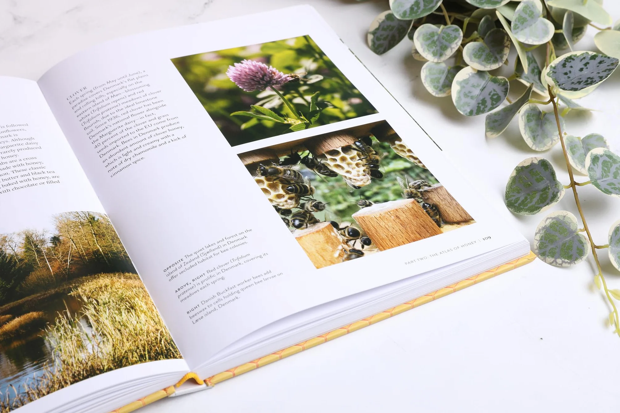 The World Atlas of Honey