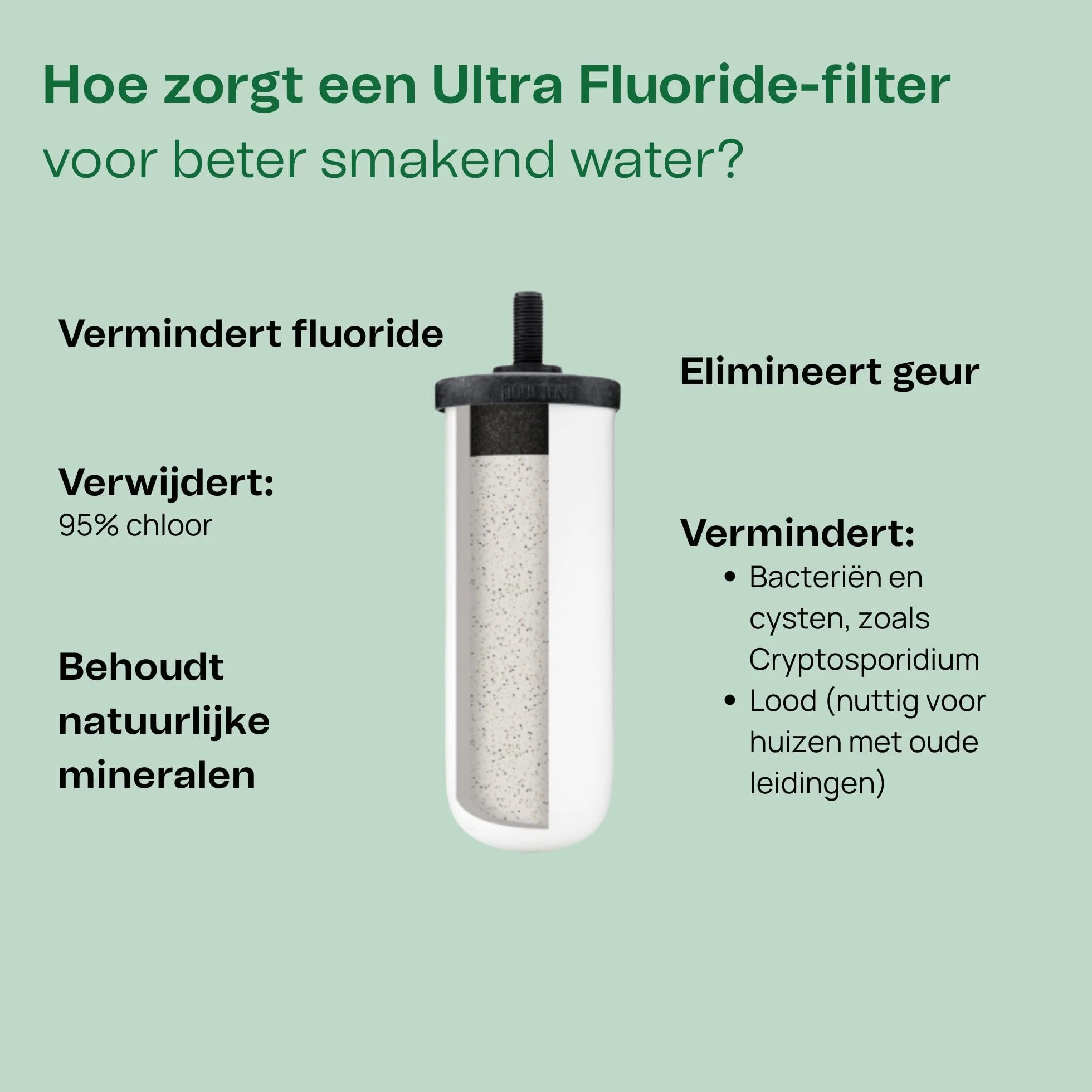 British Berkefeld Wkład Ceramiczny Ultra Fluoride 7" 2 Sztuki Redukuje Zanieczyszczenia WRAS