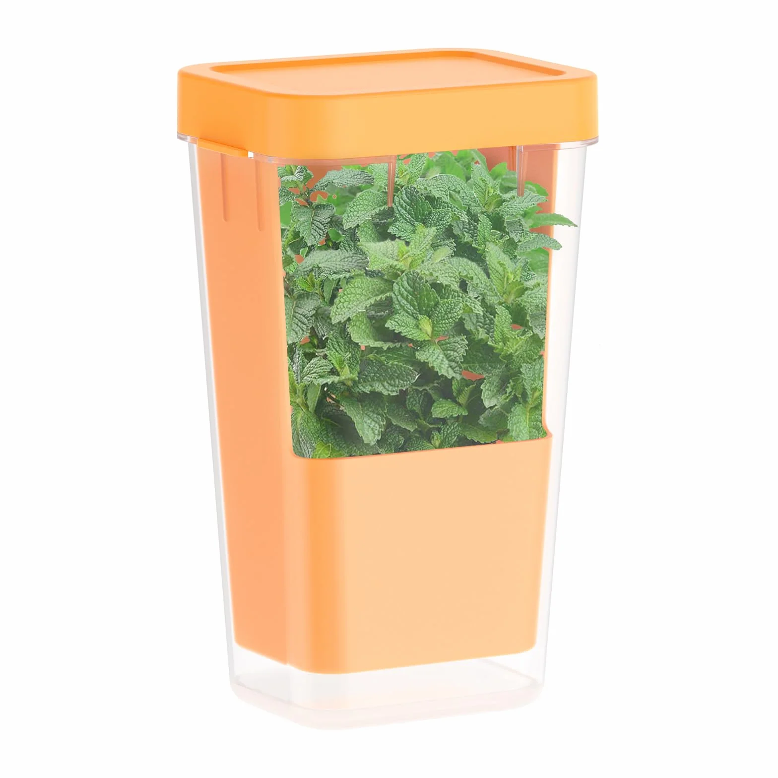 Przezroczysty pojemnik do przechowywania świeżych ziół, BPA free, pomarańczowy