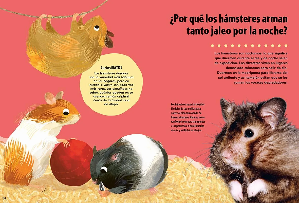 El Gran Libro de Los Grandes Porqués / Britannica's First Big Book of Why: El libro de preguntas y respuestas definitivo para resolver todos los porqués