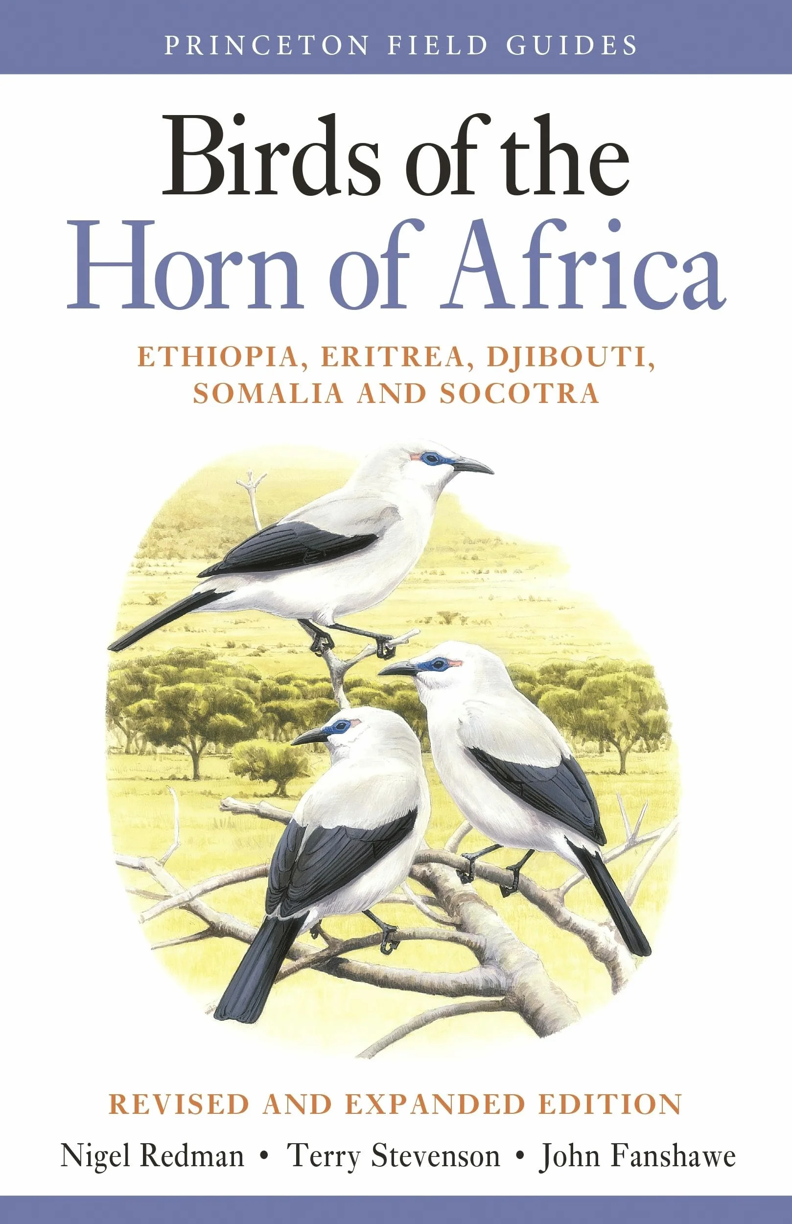 Birds of the Horn of Africa: Ethiopia, Eritrea, Djibouti, Somalia, and Socotra - Revised and Expanded Edition: 107