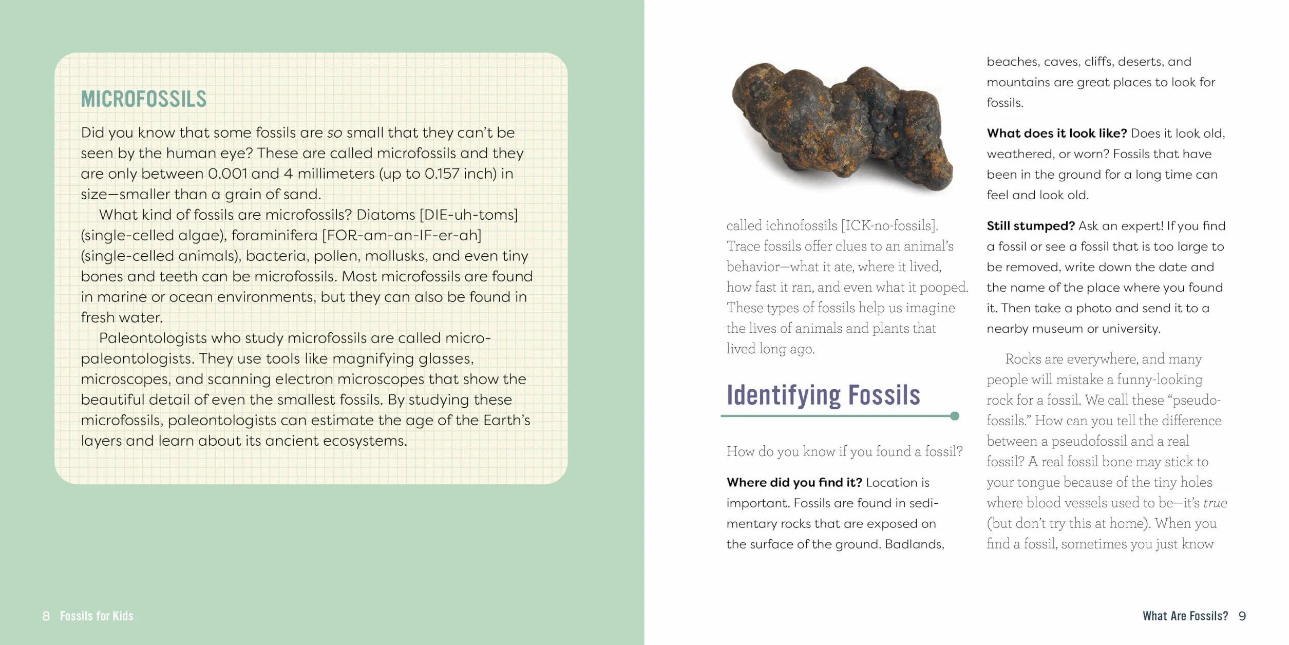 Fossils for Kids: A Junior Scientist's Guide to Dinosaur Bones, Ancient Animals, and Prehistoric Life on Earth
