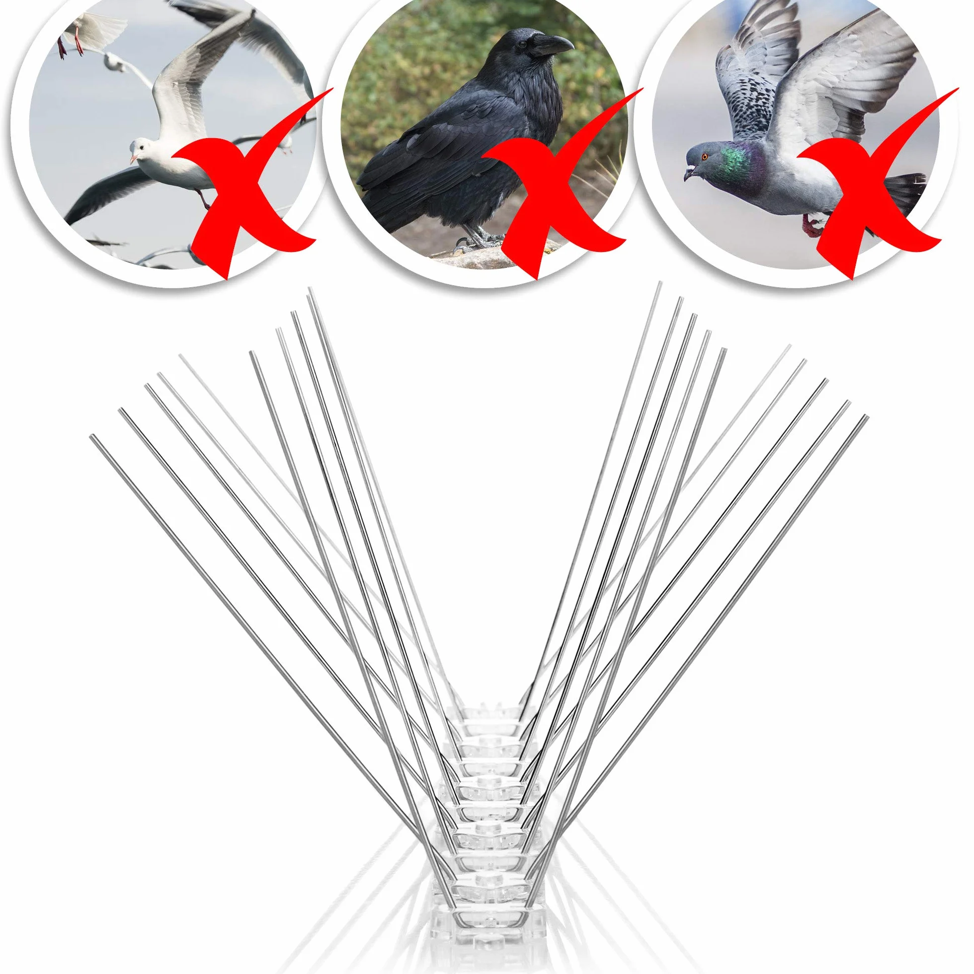 COM-FOUR® 12x Premium kolce chroniace golebie wykonane ze stali nierdzewnej - Kolce chroniace przed ptakami na balkon, okno i dach - Kolce do ochrony golebi