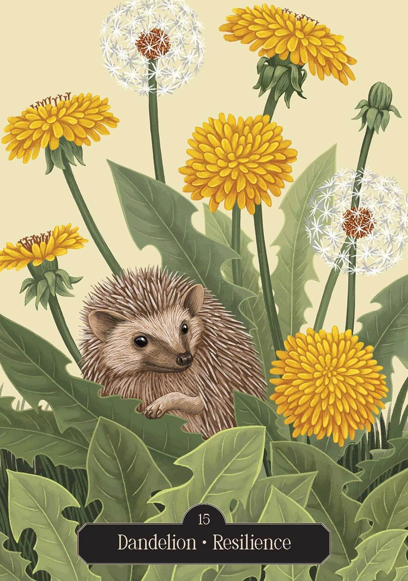 Kate Forsyth's Hedgewitch Oracle