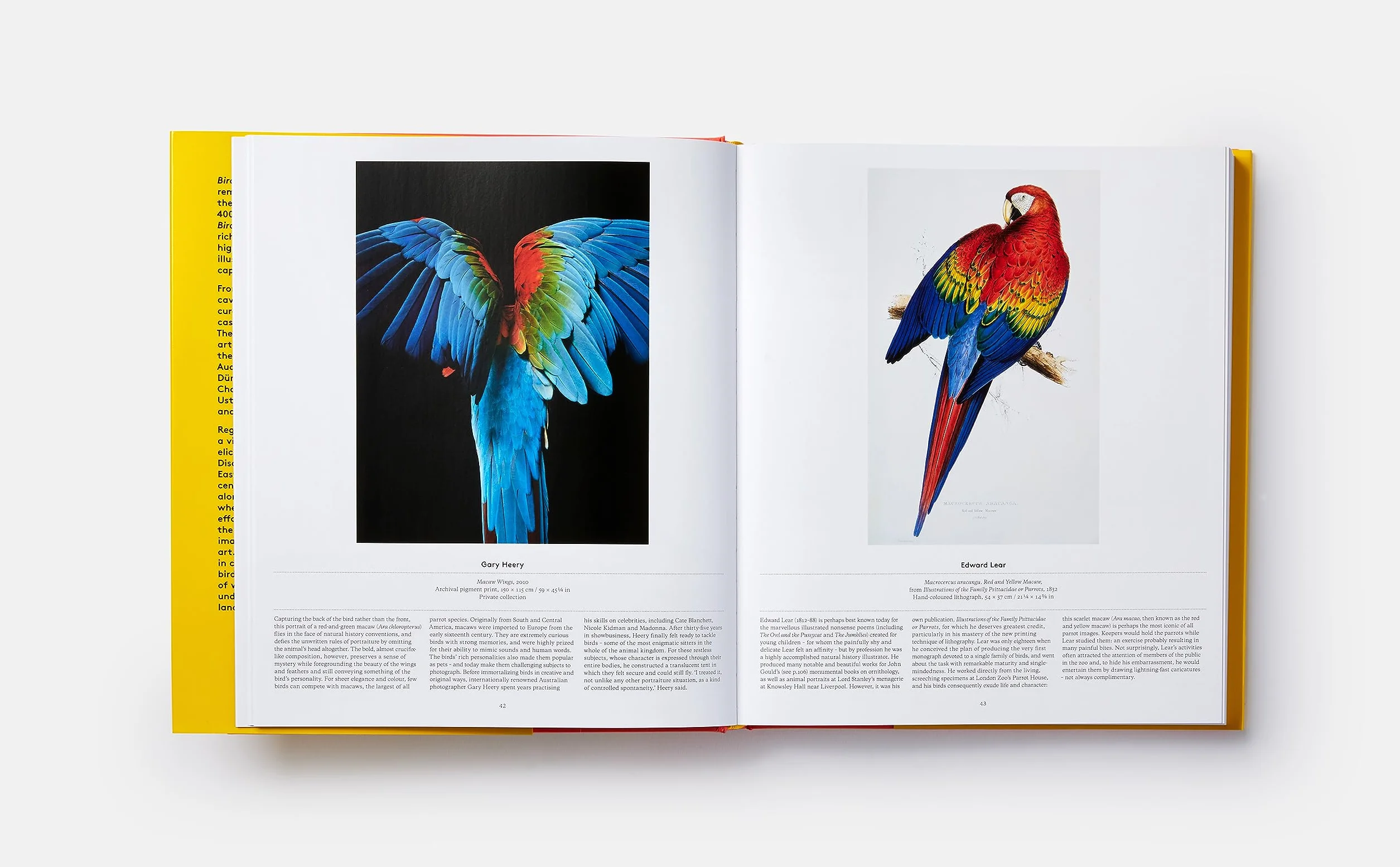 Bird: Exploring the winged world