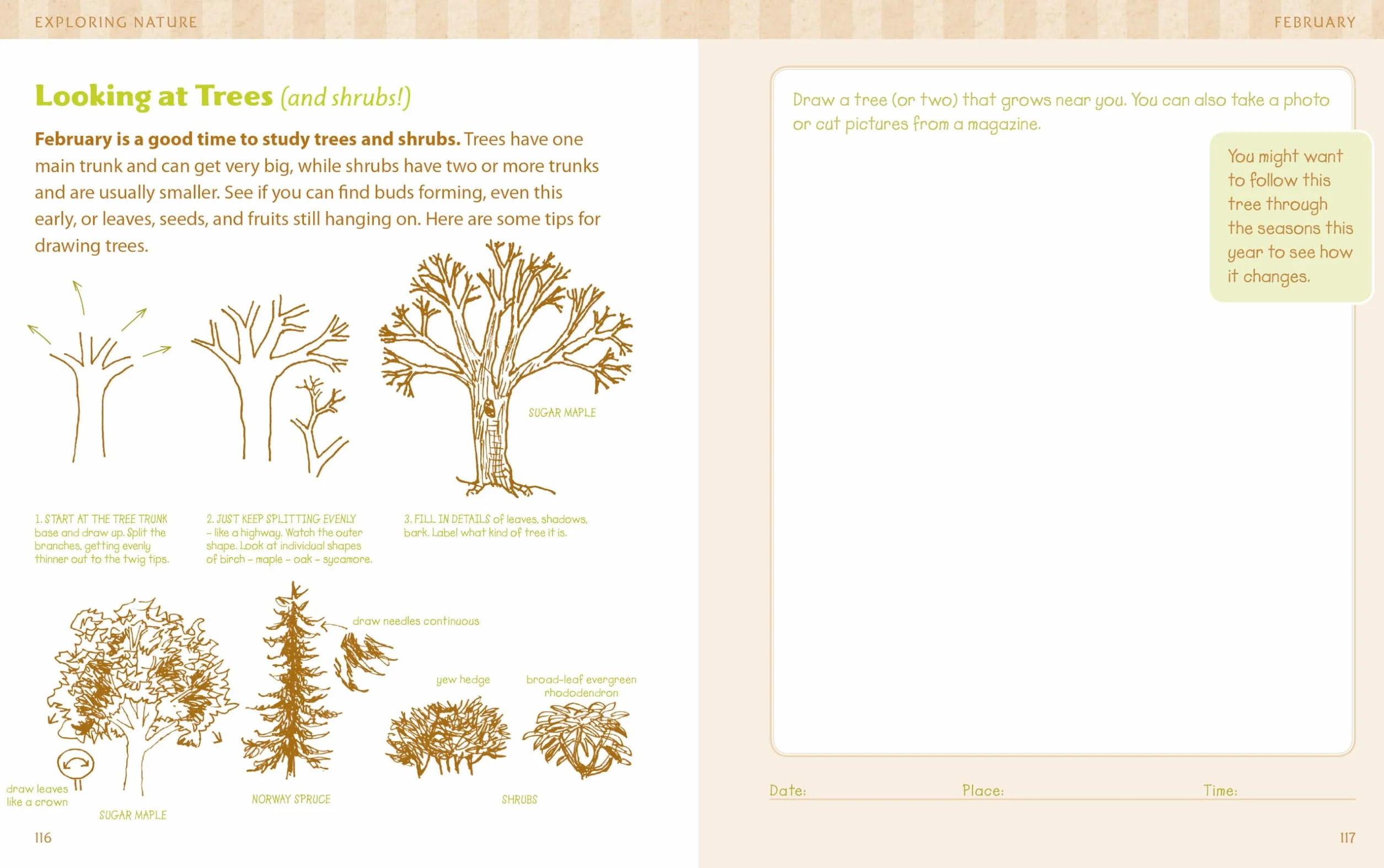 The Nature Connection: An Outdoor Workbook for Kids, Families, and Classrooms