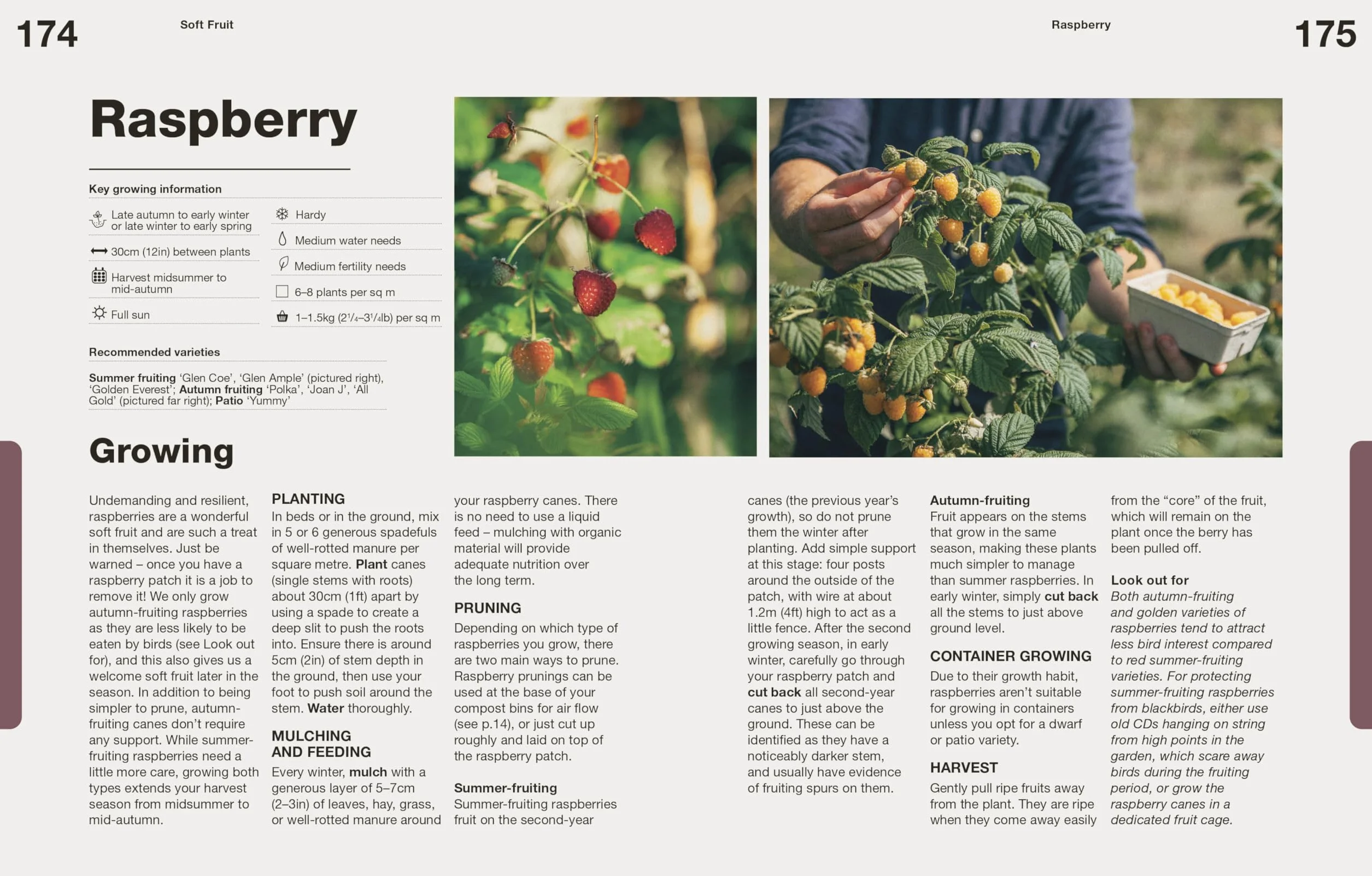 How to Grow Food: Your Crop-by-Crop Guide to Growing, Cooking, & Preserving