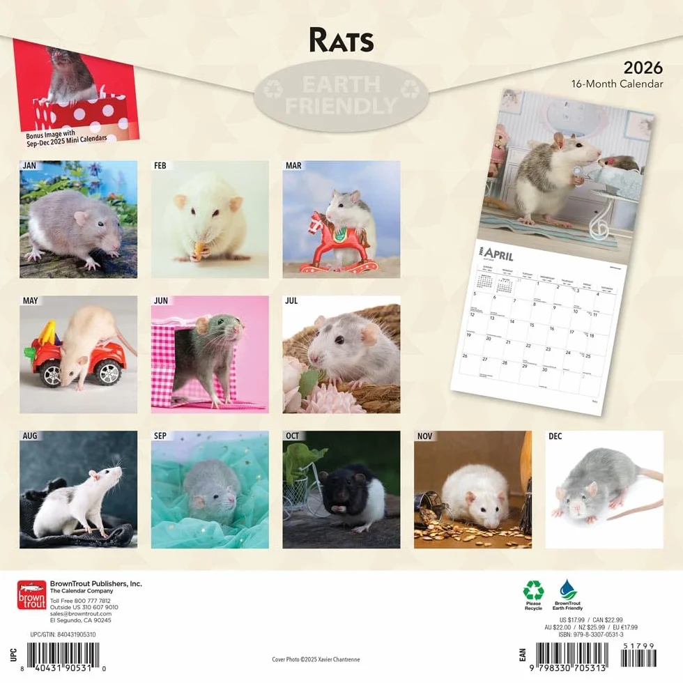 Rats – Ratten 2026 – 16-Monatskalender: Original BrownTrout-Kalender [Mehrsprachig] [Kalender]
