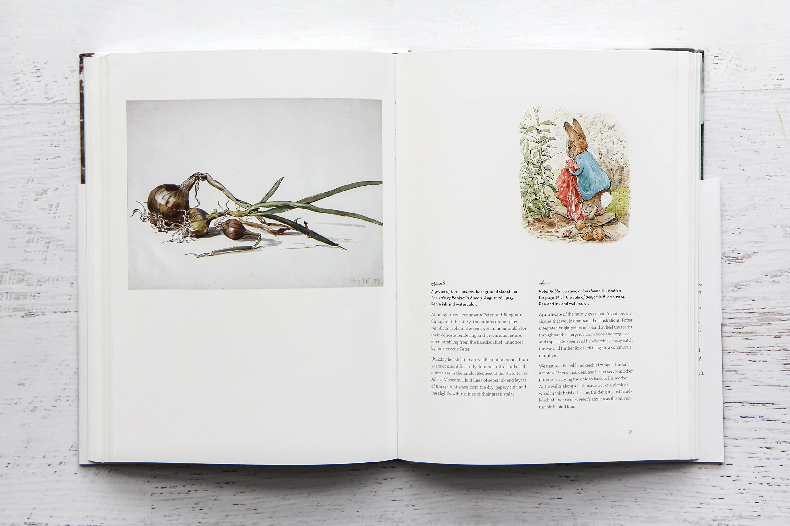 The Art of Beatrix Potter: Sketches, Paintings, and Illustrations