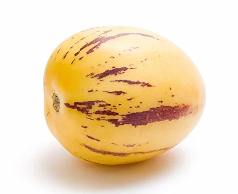 Melon żarówka, żarówka melonowa Pepino - Solanum muricatum