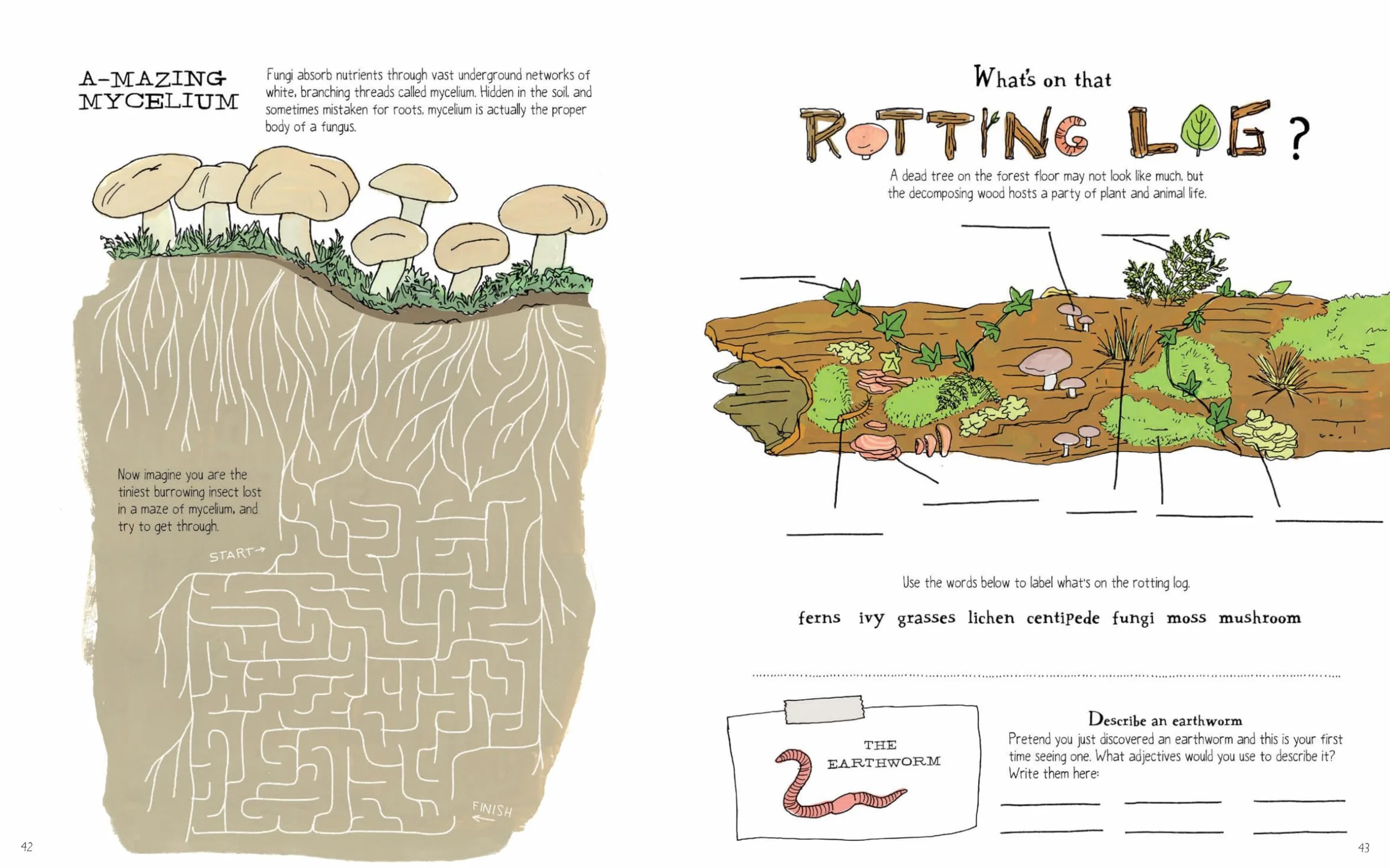 Julia Rothman's Nature Anatomy Activity Book: Match-Ups, Word Puzzles, Quizzes, Mazes, Projects, Secret Codes + Lots More