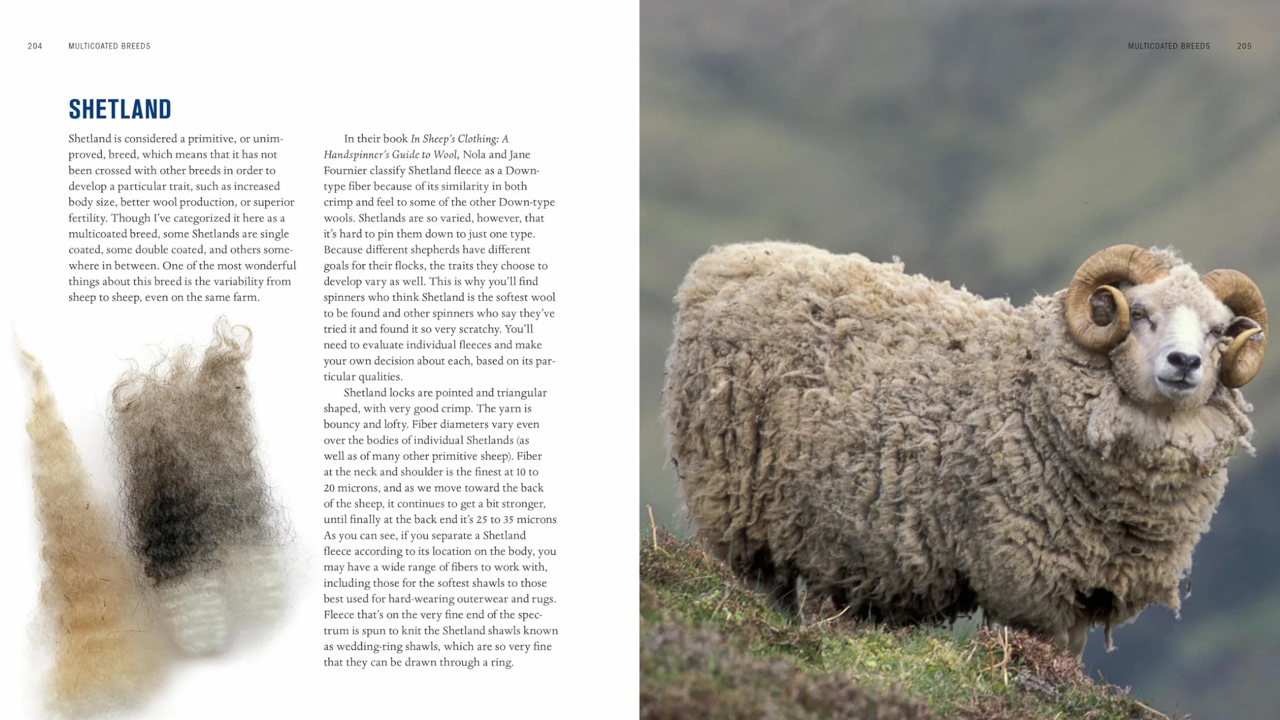 The Spinner's Book of Fleece: A Breed-By-Breed Guide to Choosing and Spinning the Perfect Fiber for Every Purpose