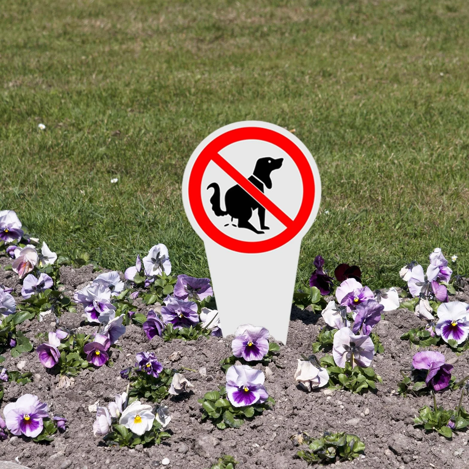 2 sztuki tabliczek wtykowych bez kupy dla psów, 30 × 15 cm tabliczka informacyjna nie ma toalety dla psa, tabliczka z PCW, kupowanie psów, zabronione do parku na podwórku